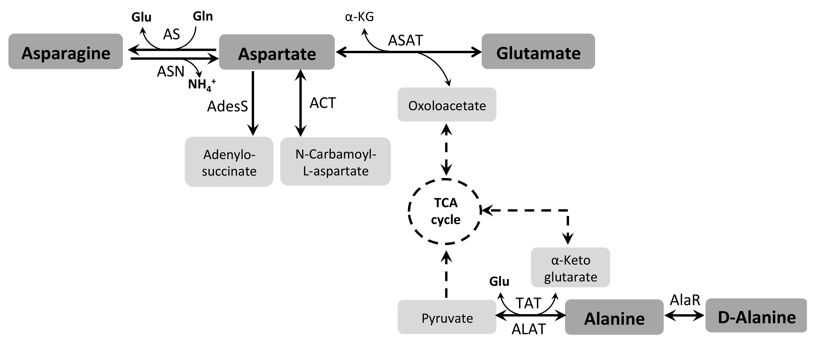 Pathogens 07 00036 g005