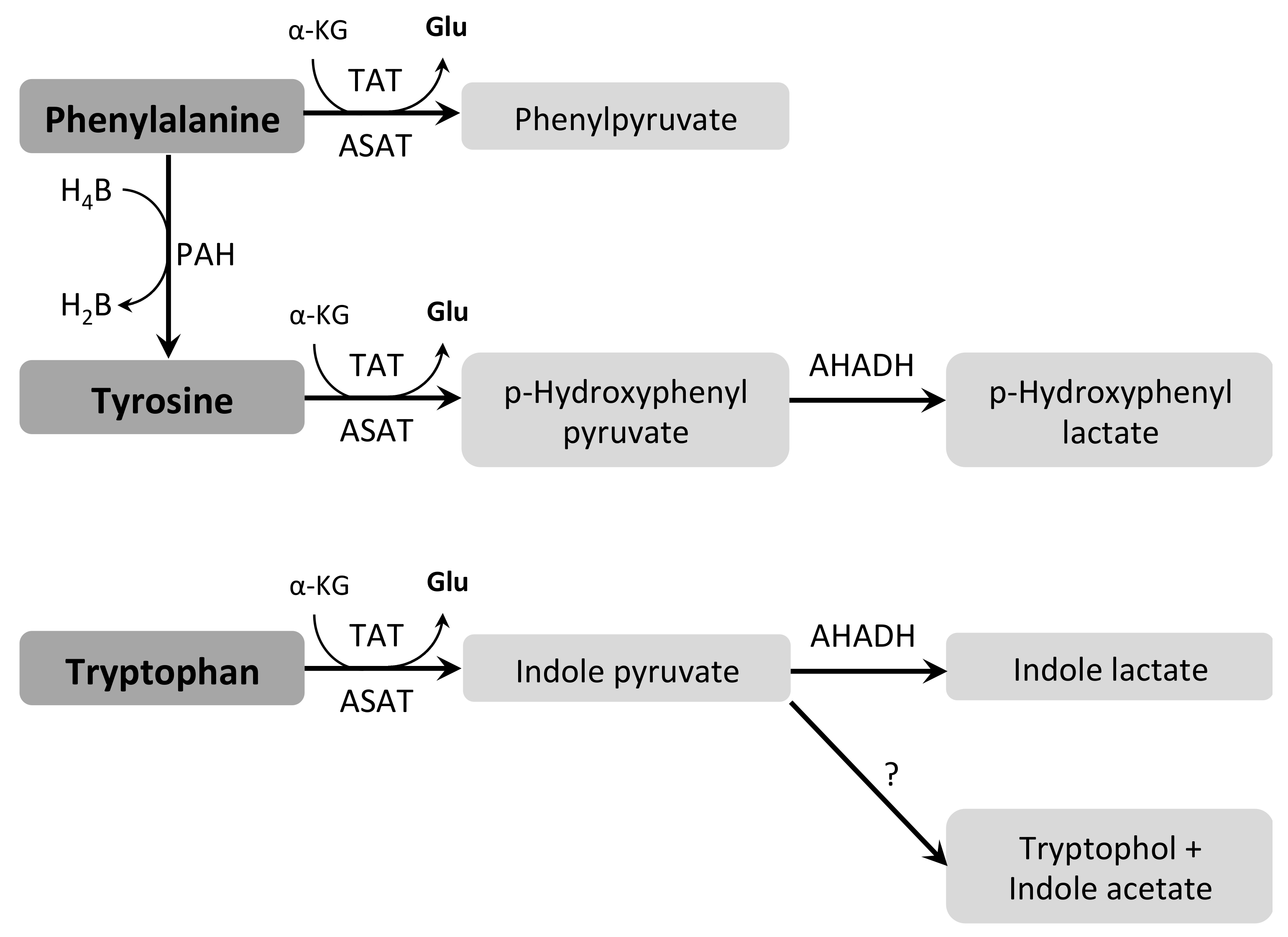 Pathogens 07 00036 g007