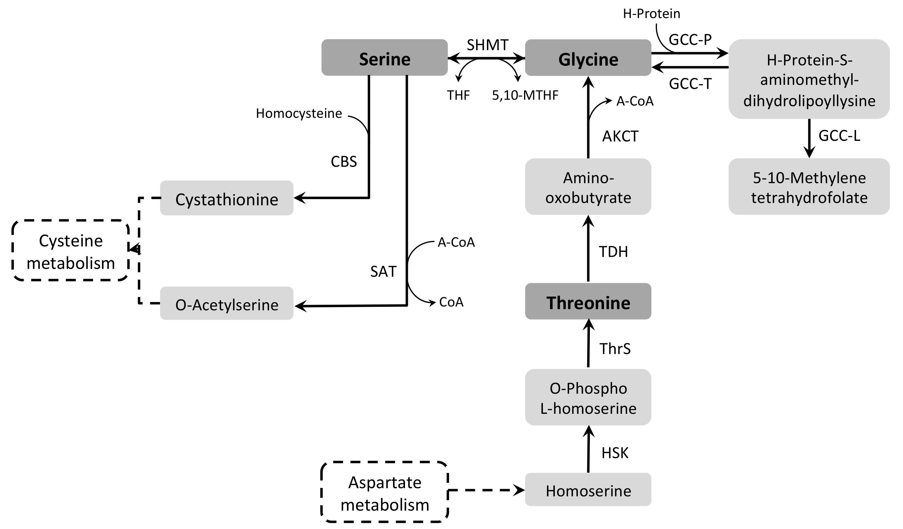 Pathogens 07 00036 g008