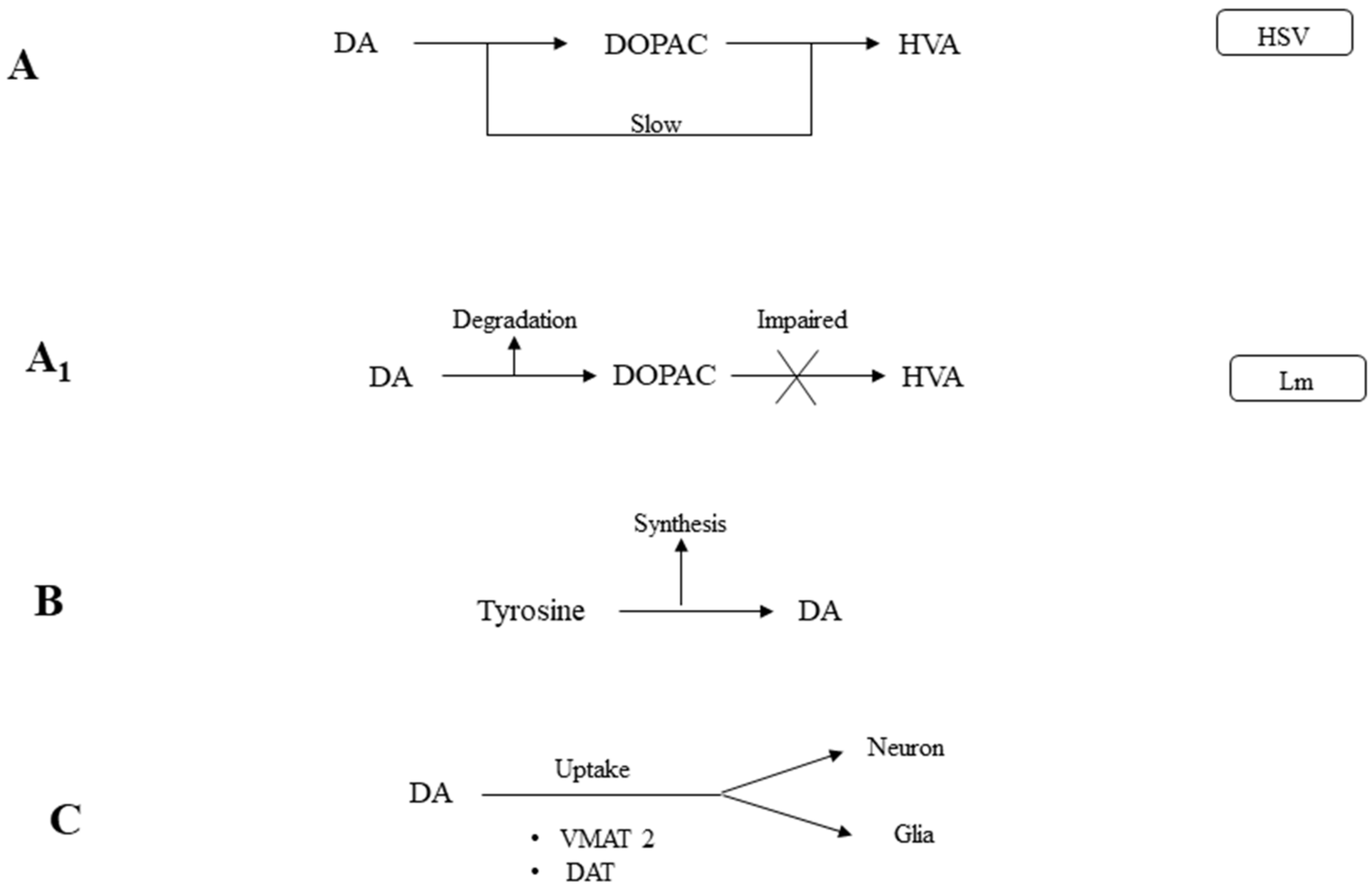 Pathogens 07 00039 g003
