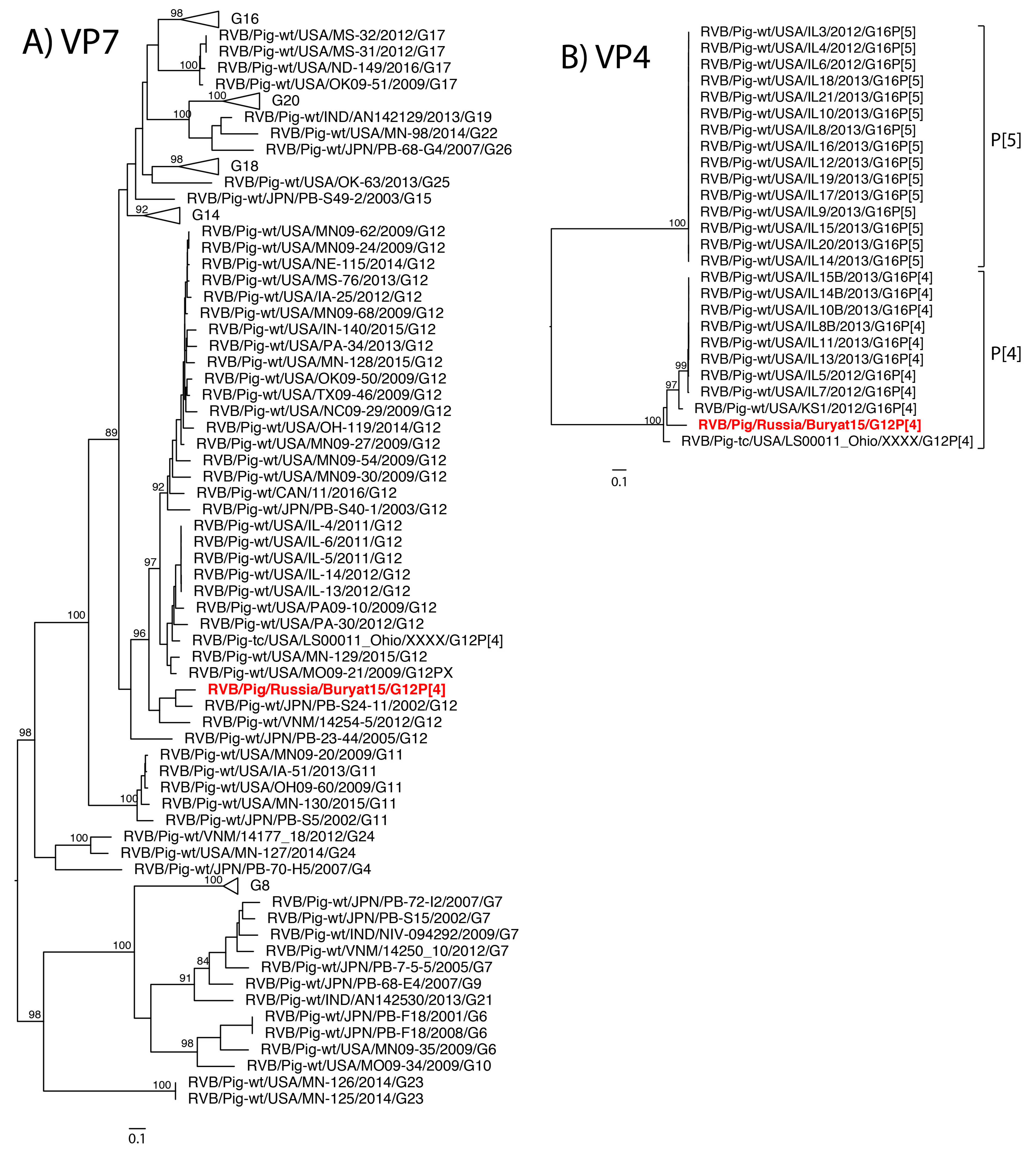 Pathogens 07 00046 g001a