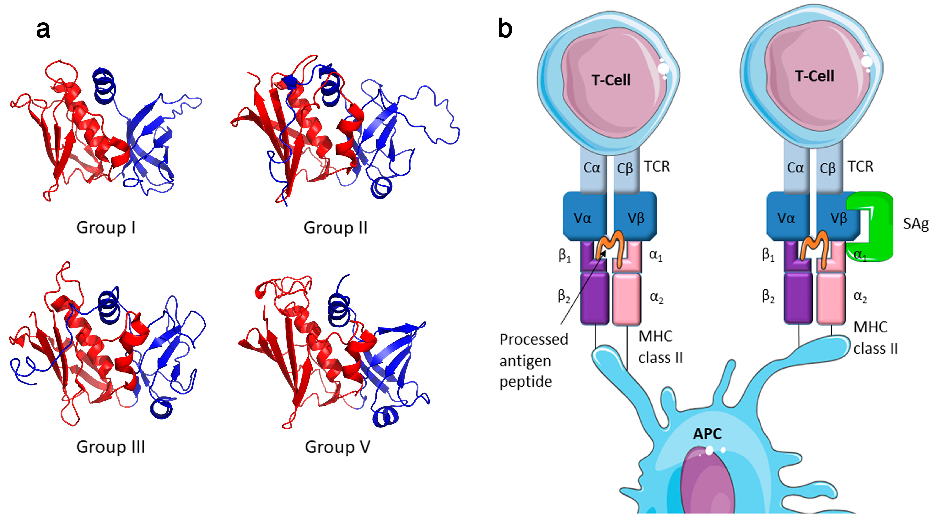 Pathogens 07 00053 g001