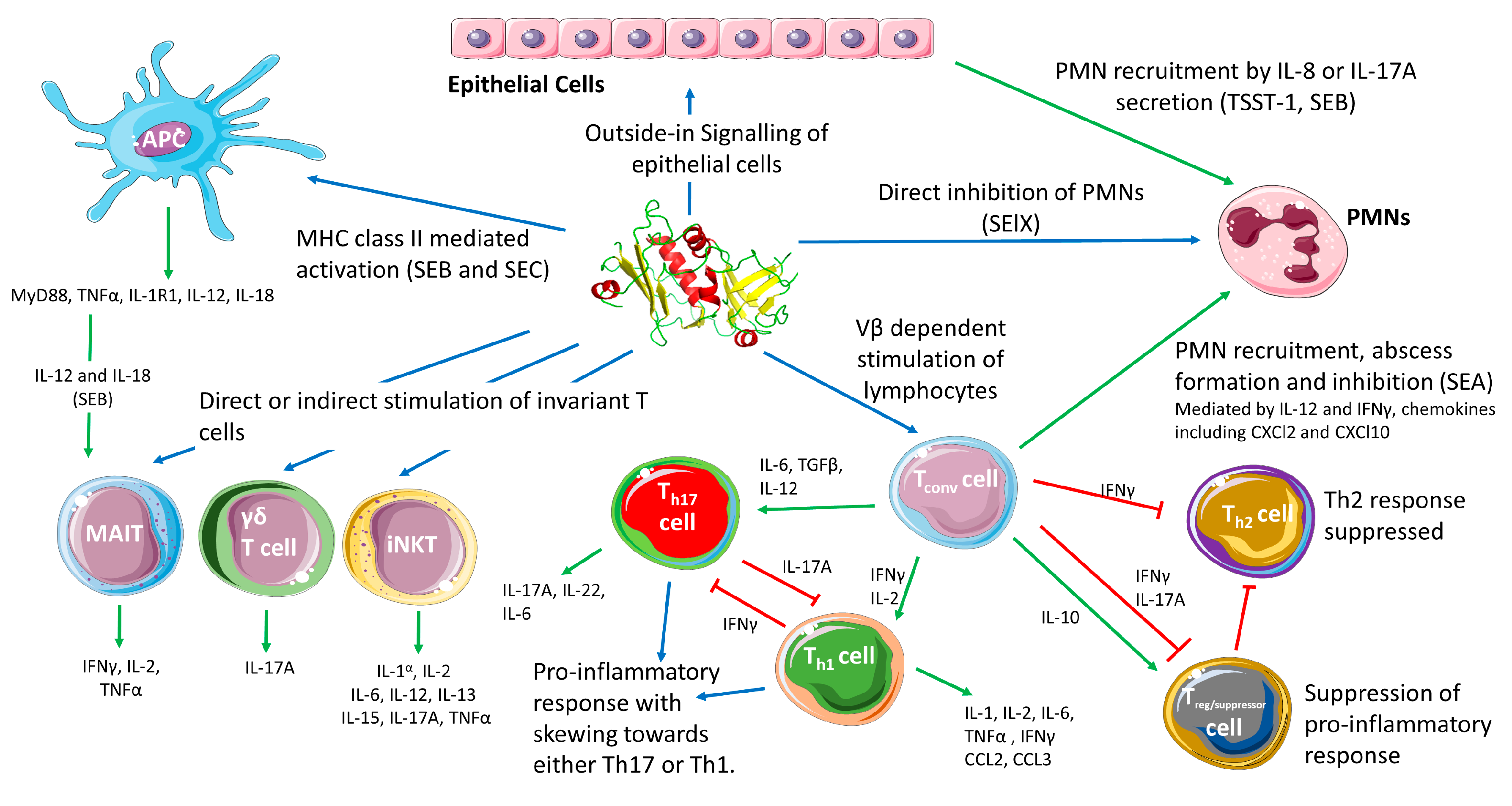 Pathogens 07 00053 g002