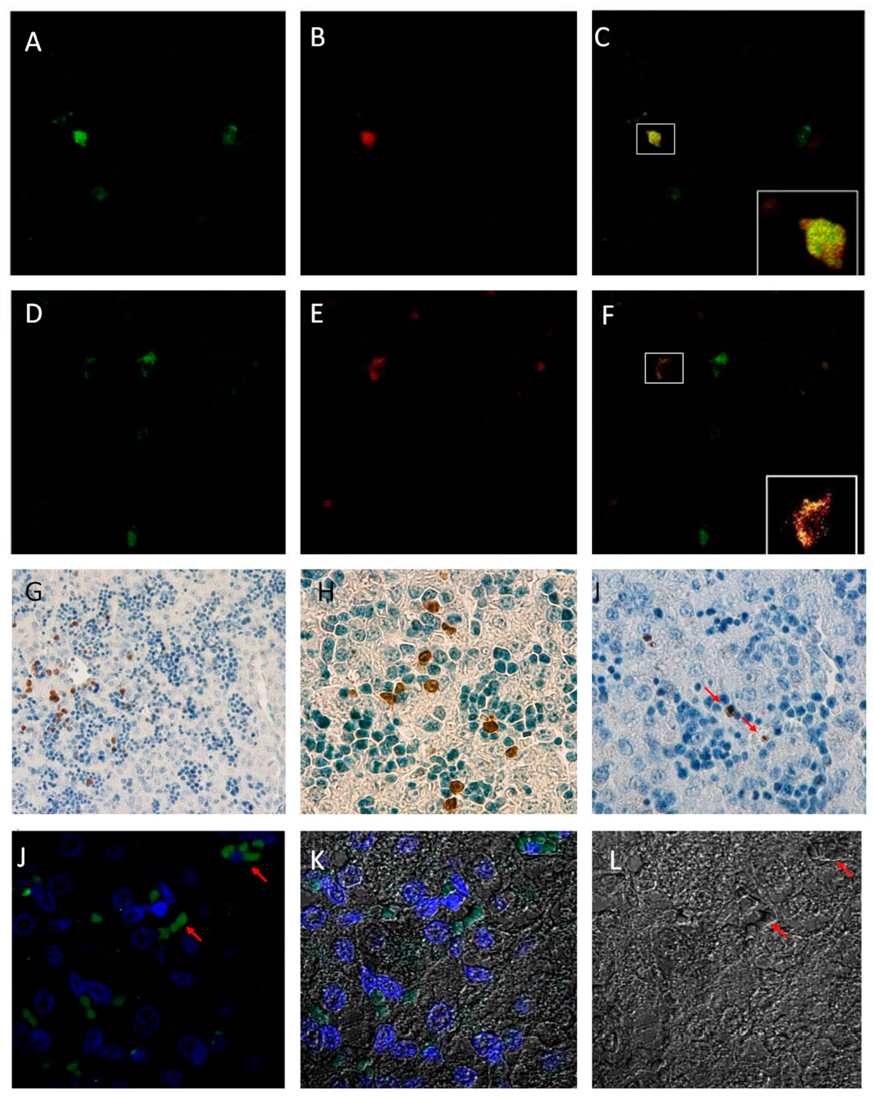 Pathogens 07 00054 g001 Pathogens 07 00054 g001