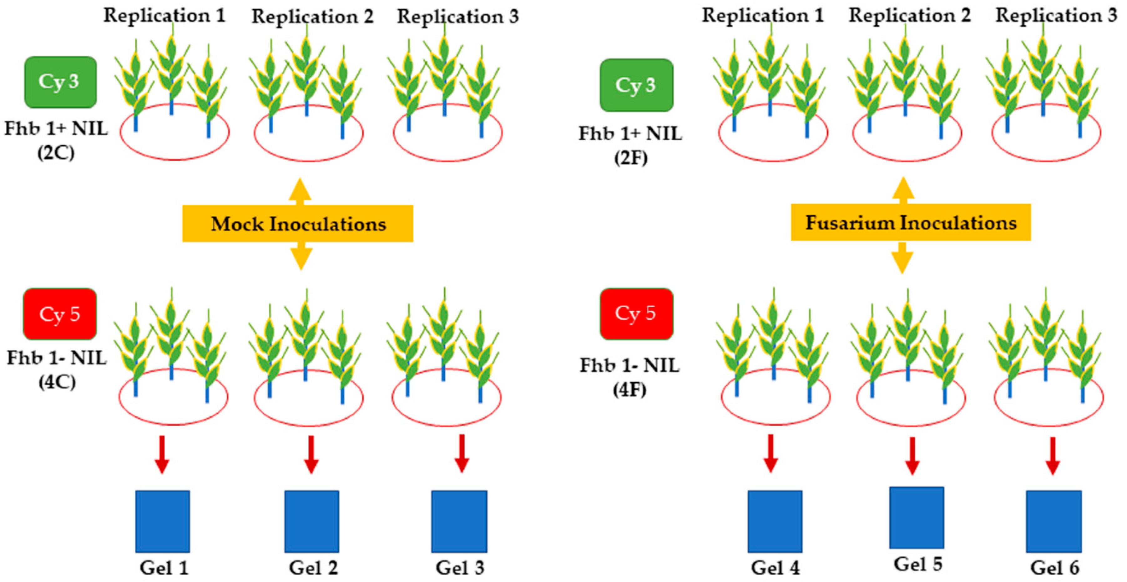 Pathogens 07 00058 g001