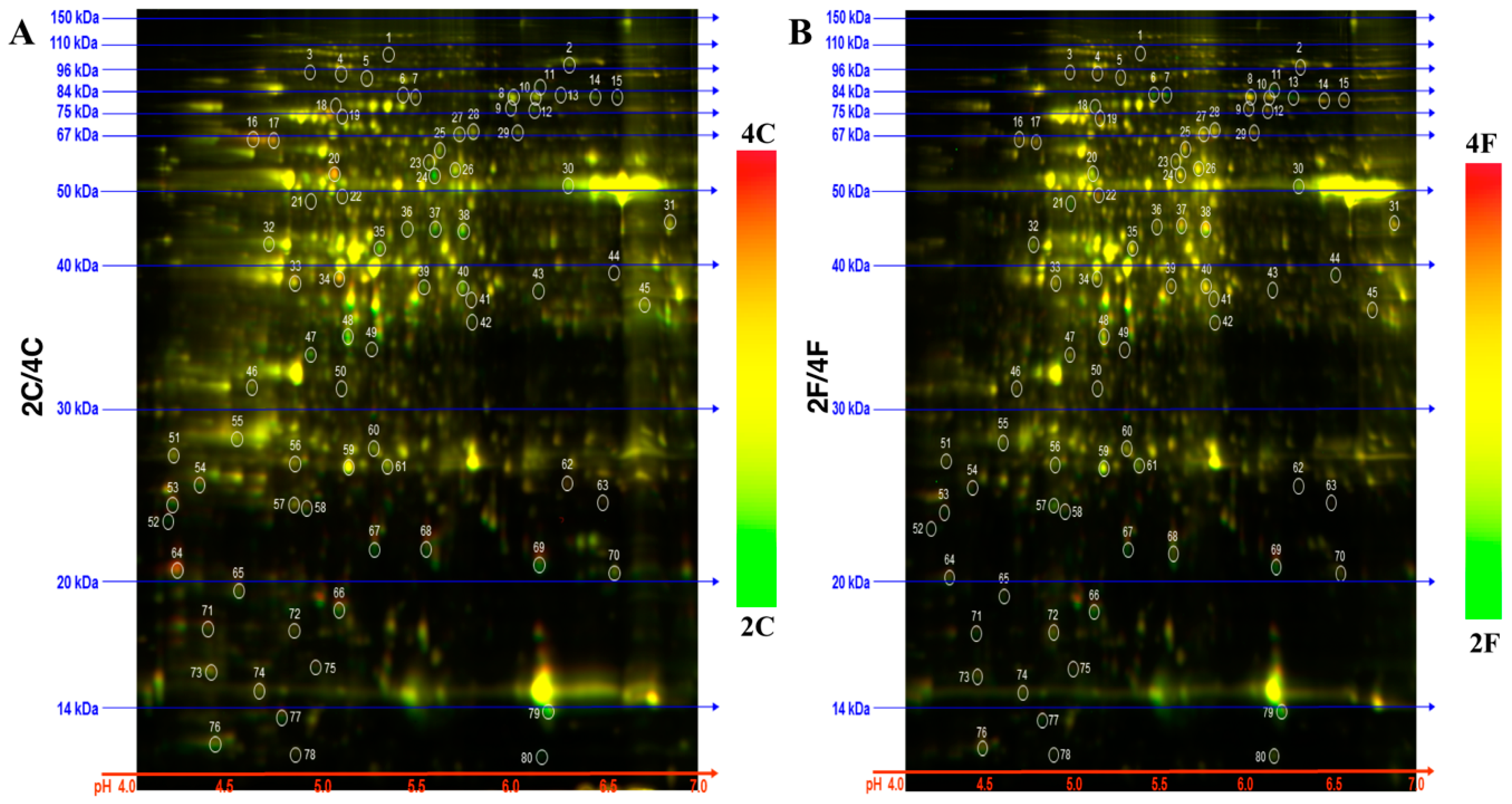 Pathogens 07 00058 g002