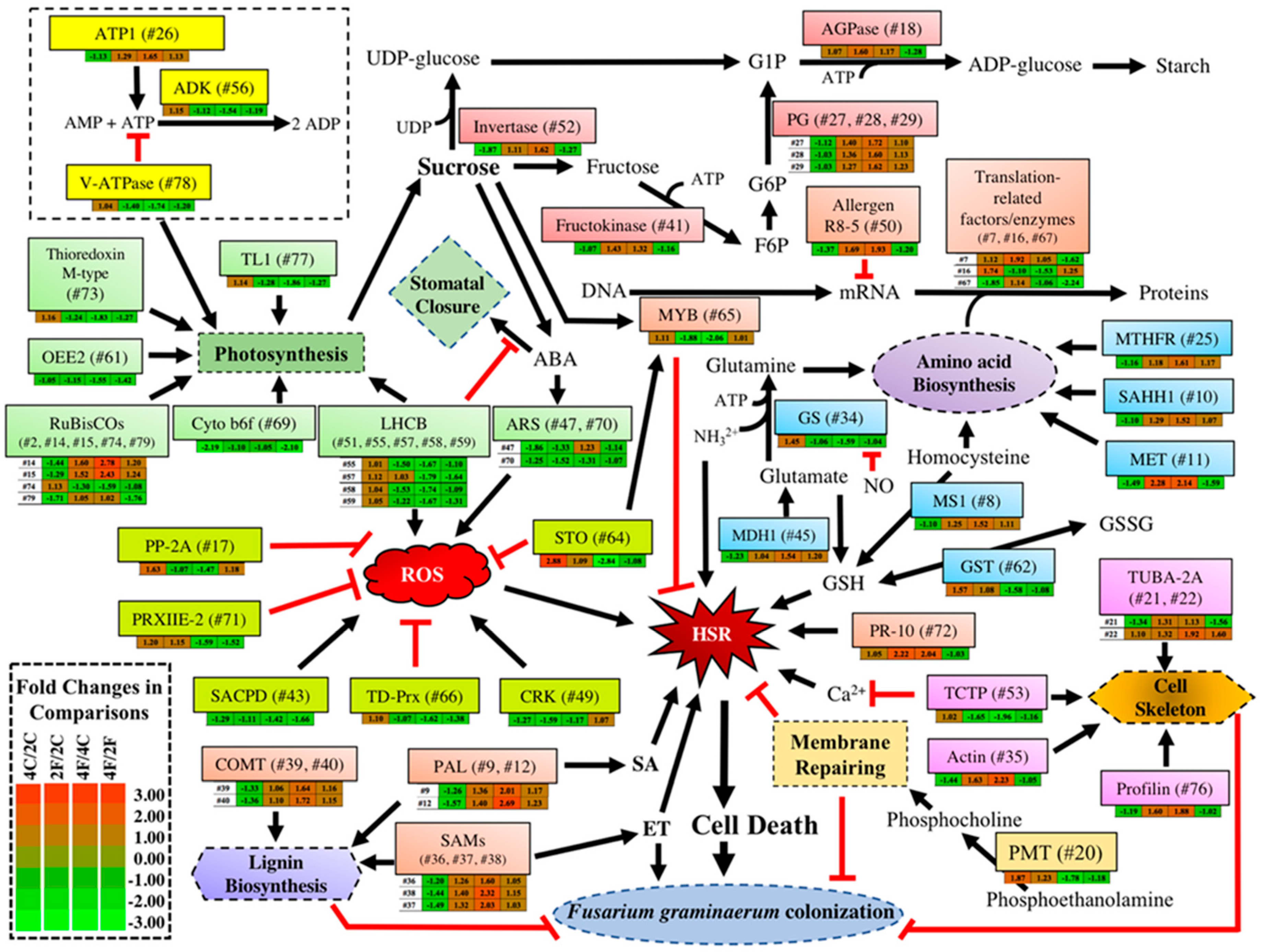 Pathogens 07 00058 g004
