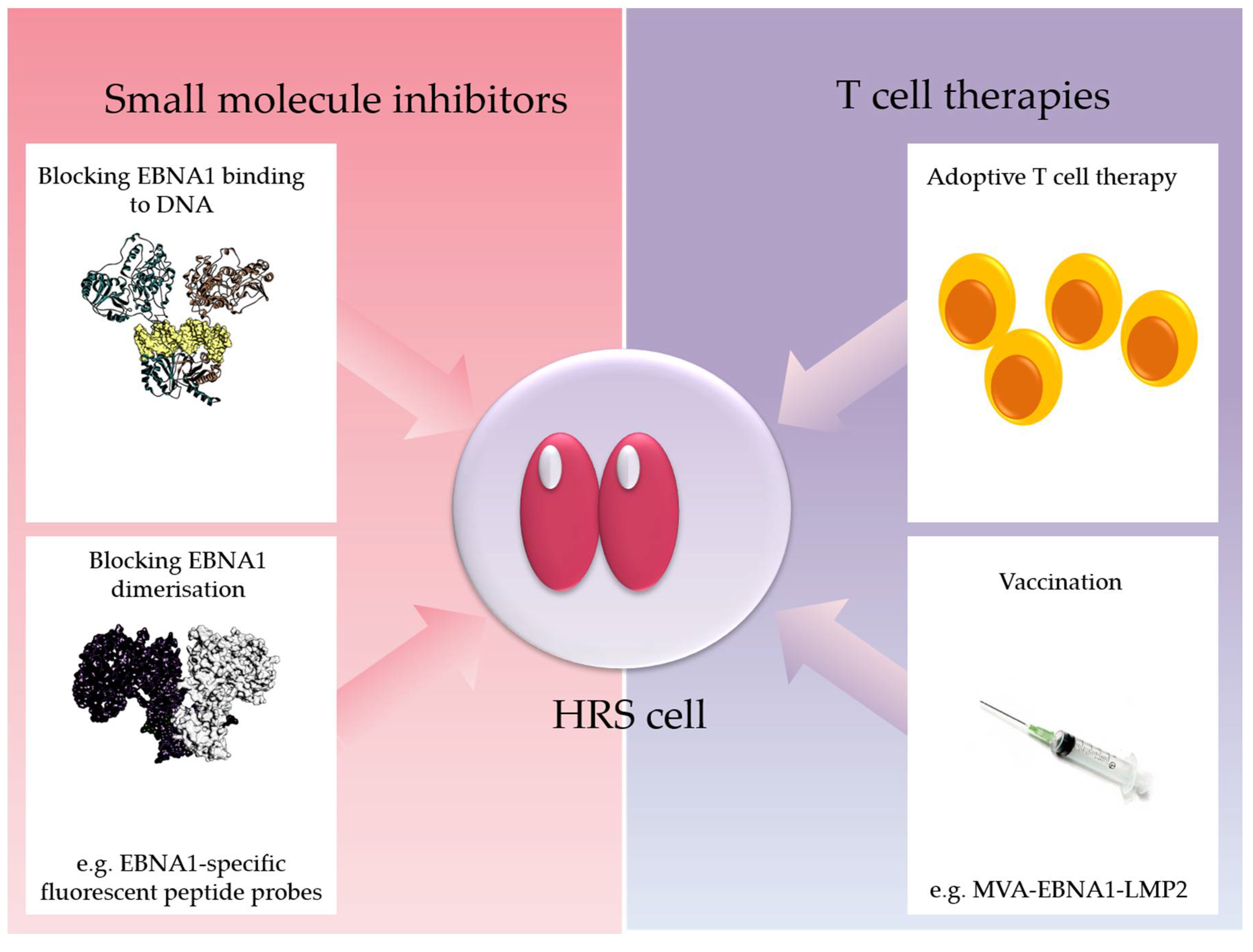 Pathogens 07 00059 g002