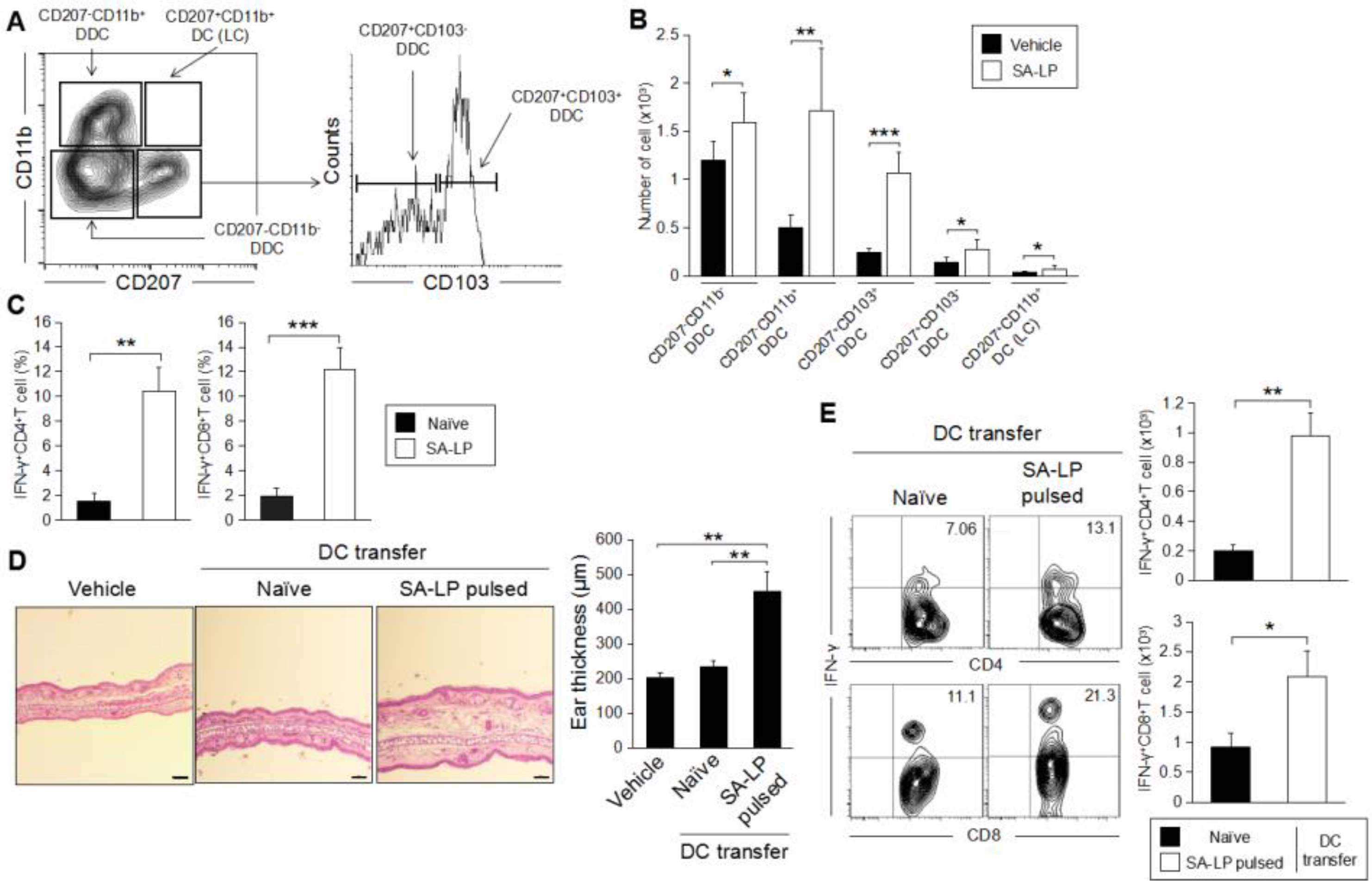 Pathogens 07 00064 g005