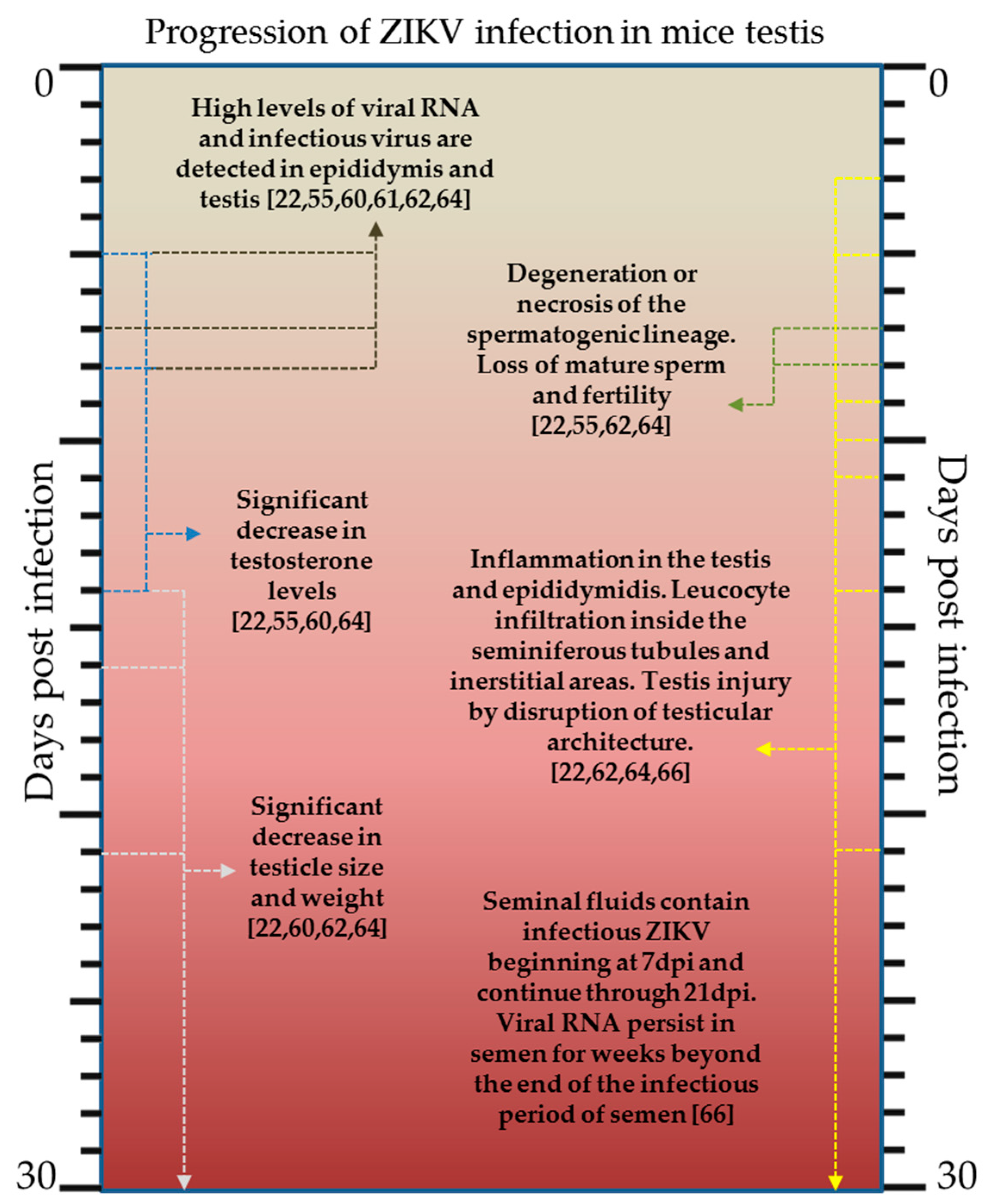 Pathogens 07 00066 g002