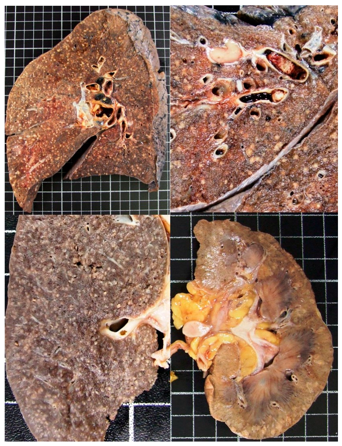 Pathogens 07 00072 g005 Pathogens 07 00072 g005