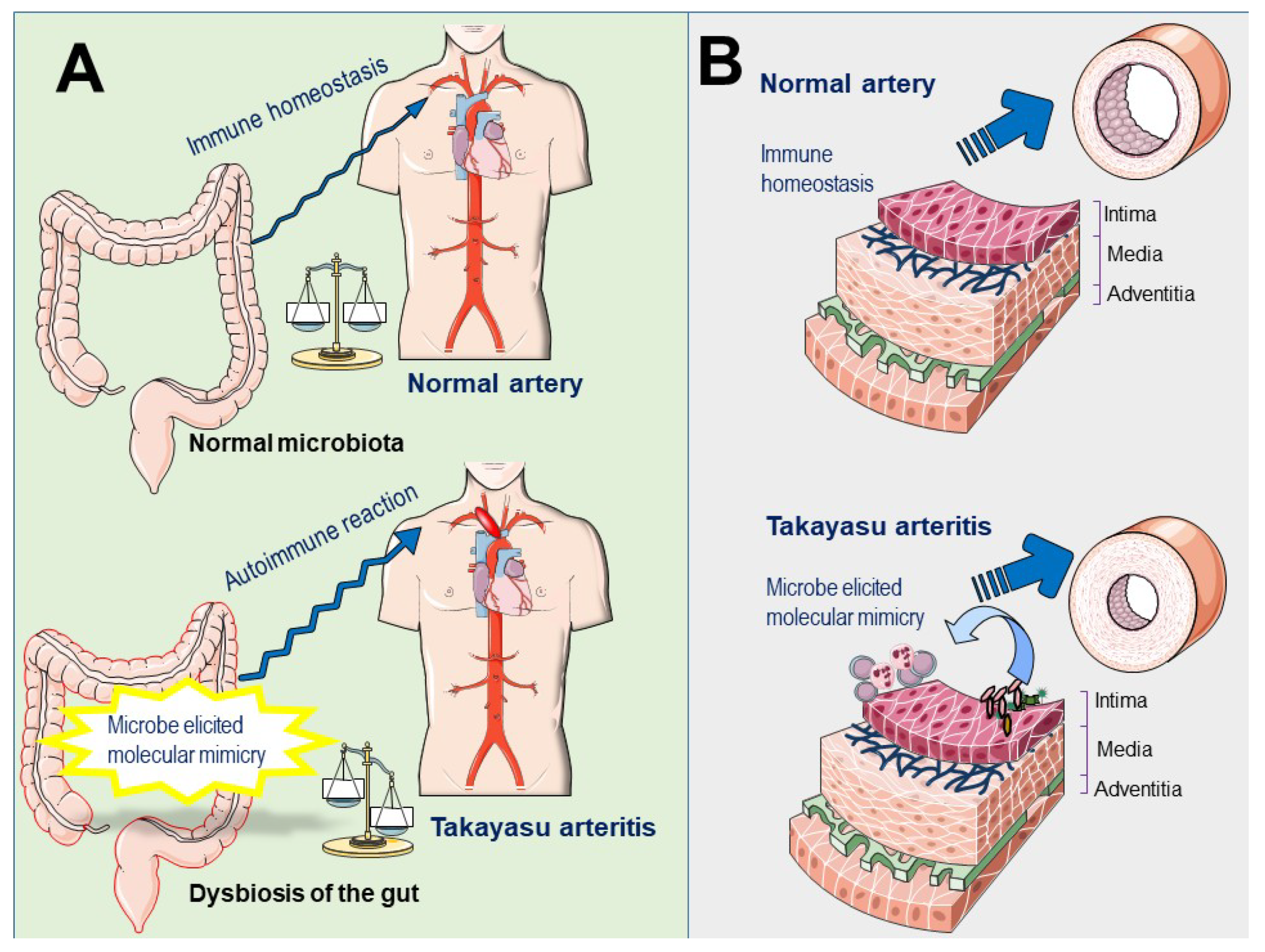 Pathogens 07 00073 g002