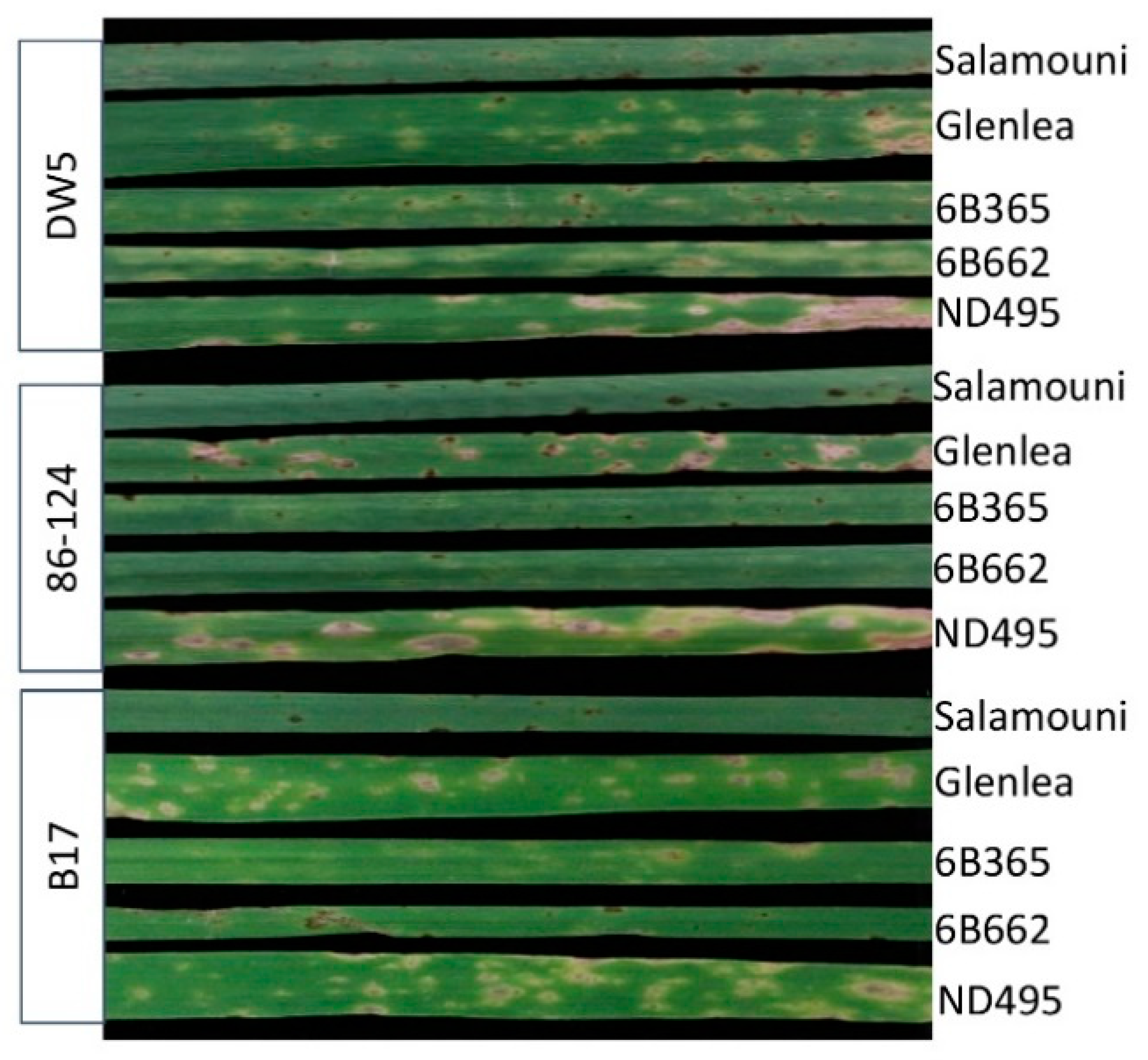 Pathogens 07 00074 g002