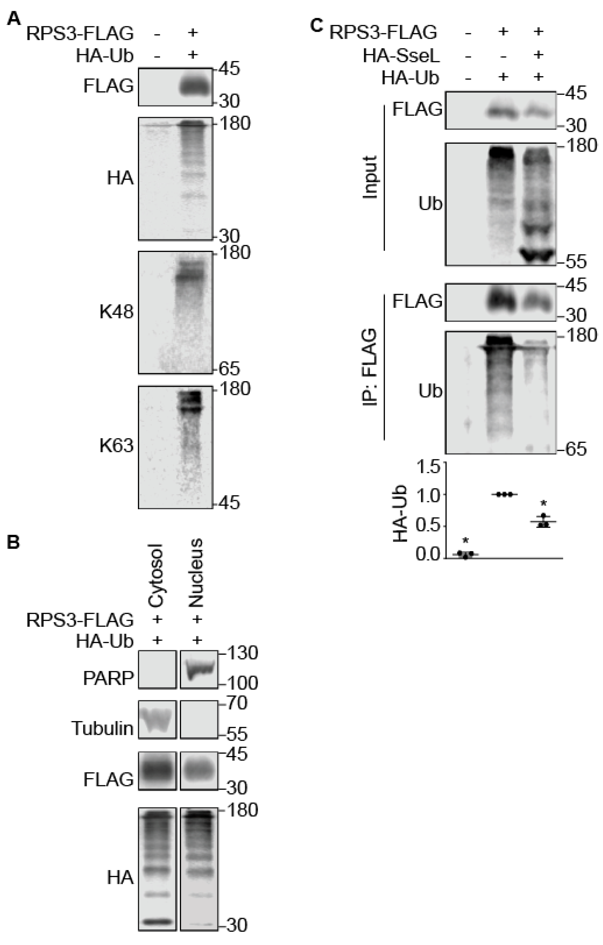 Pathogens 07 00086 g003