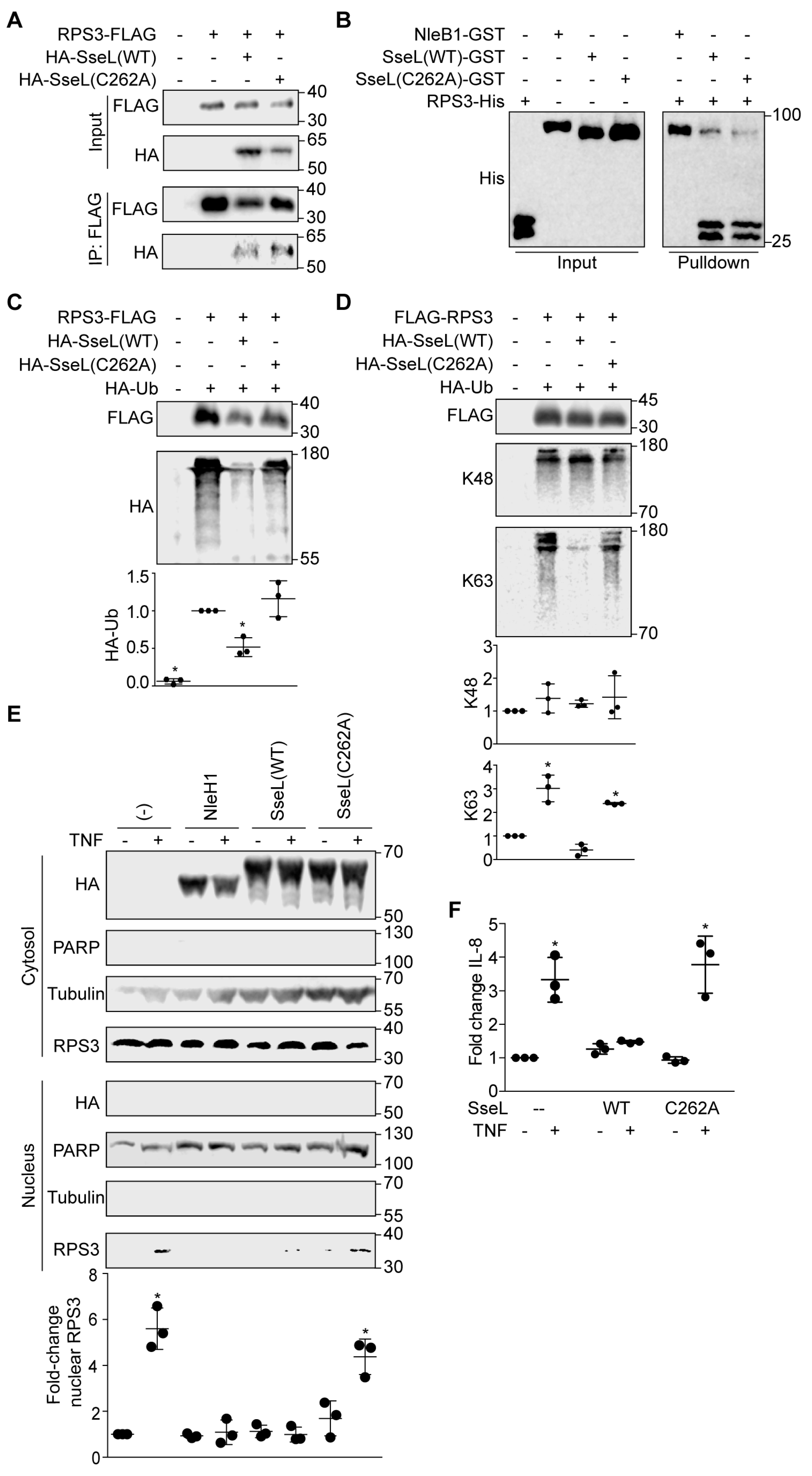 Pathogens 07 00086 g004