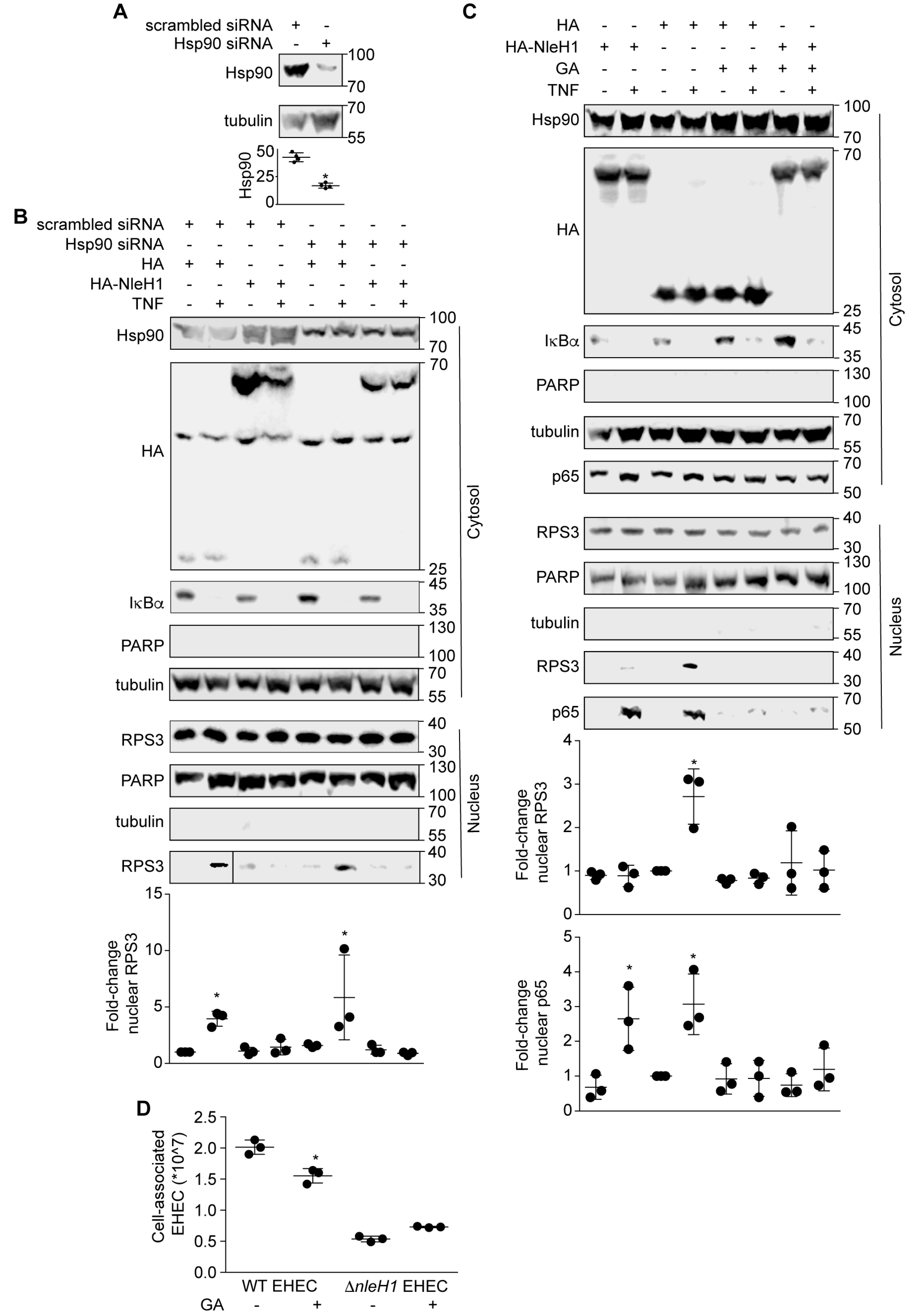 Pathogens 07 00087 g003