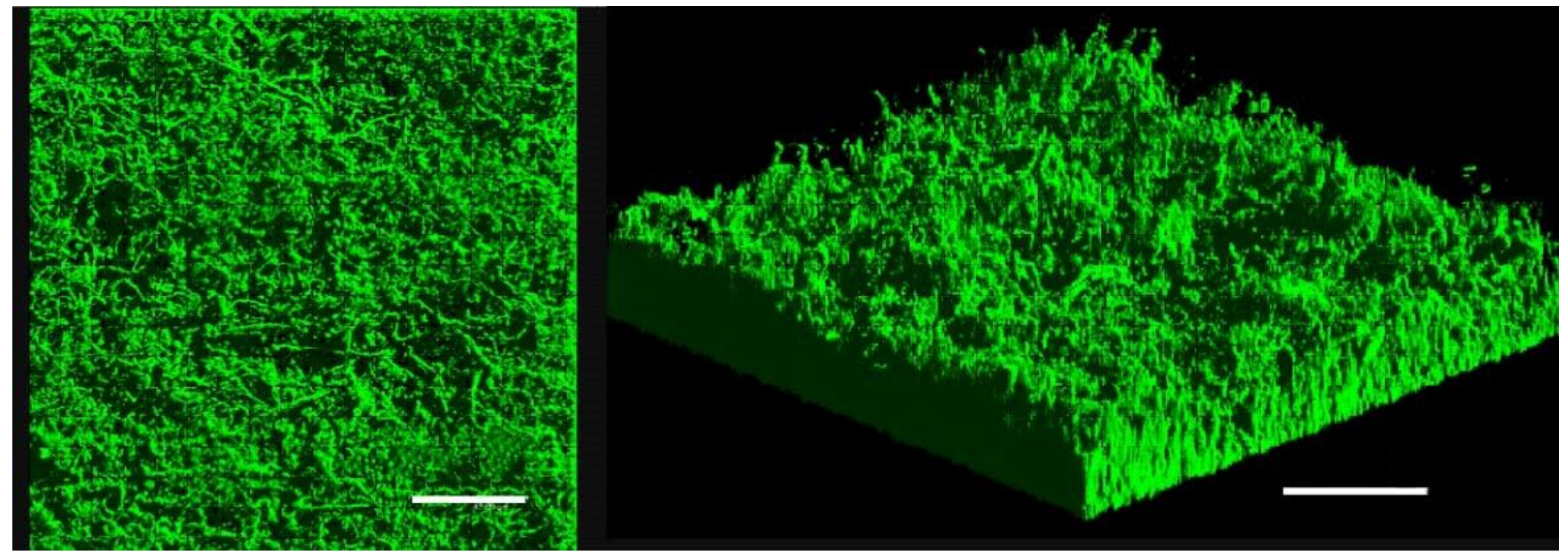 Pathogens 07 00092 g001 Pathogens 07 00092 g001