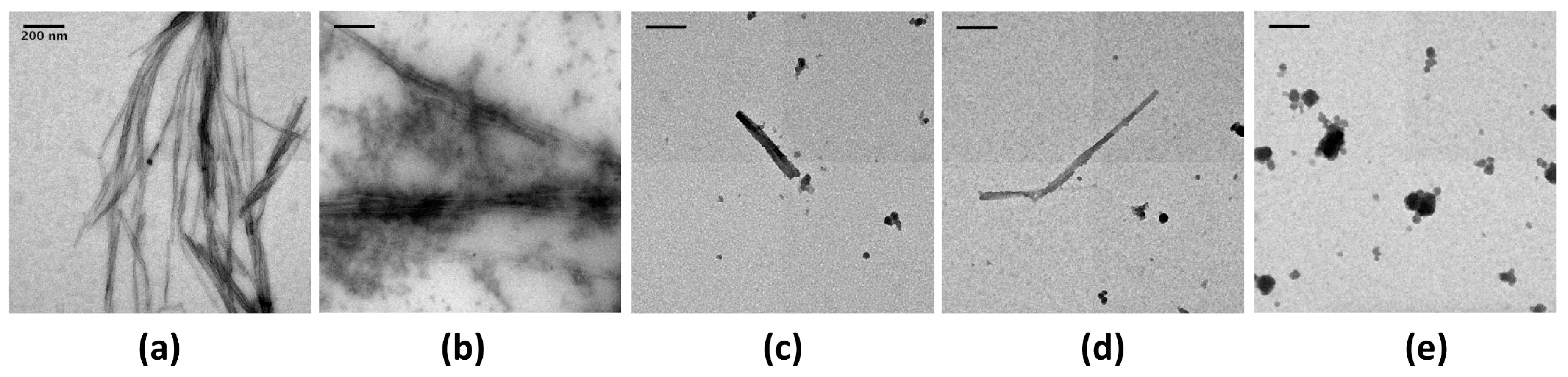 Pathogens 07 00095 g001 Pathogens 07 00095 g001
