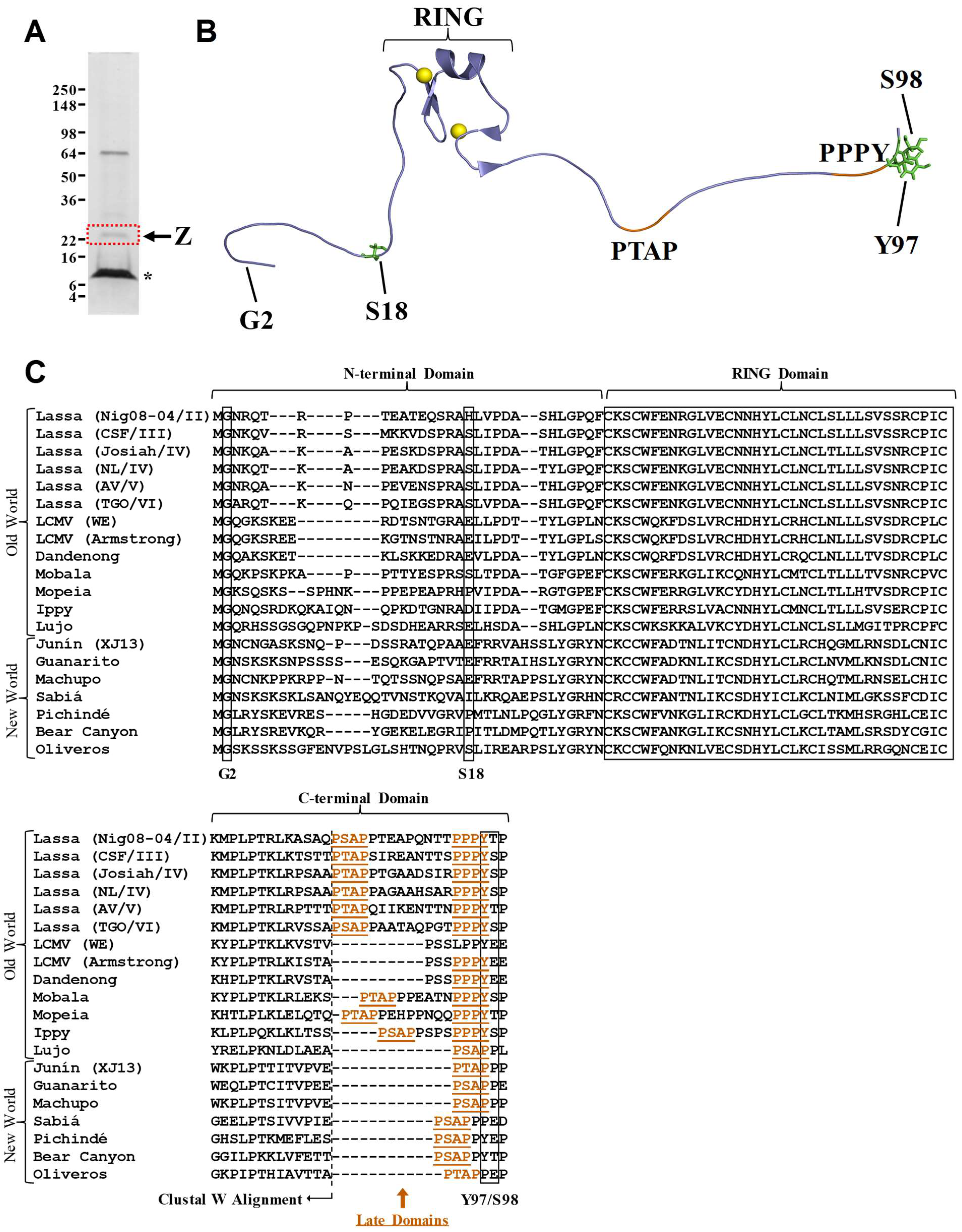 Pathogens 07 00097 g001