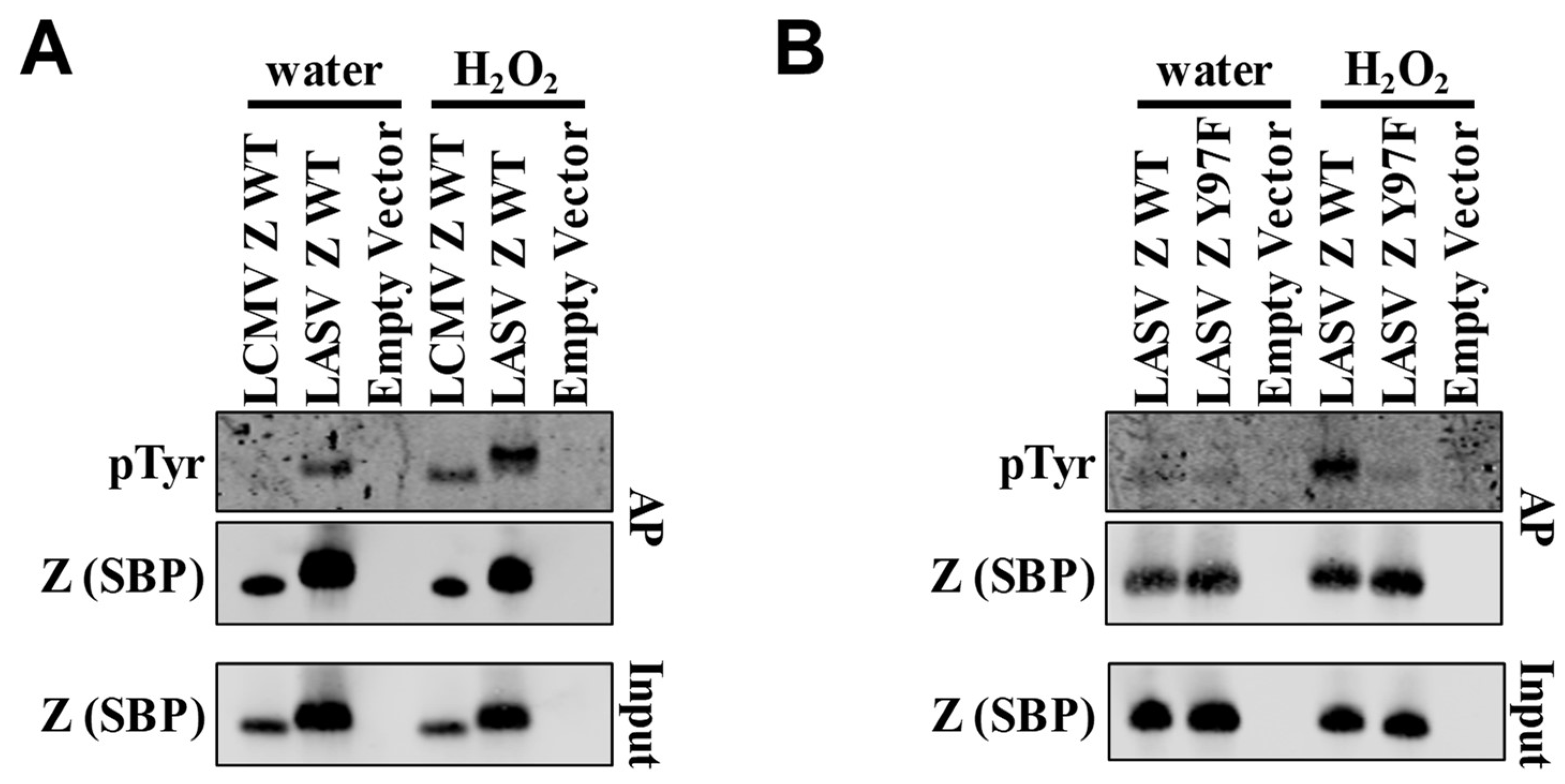 Pathogens 07 00097 g002
