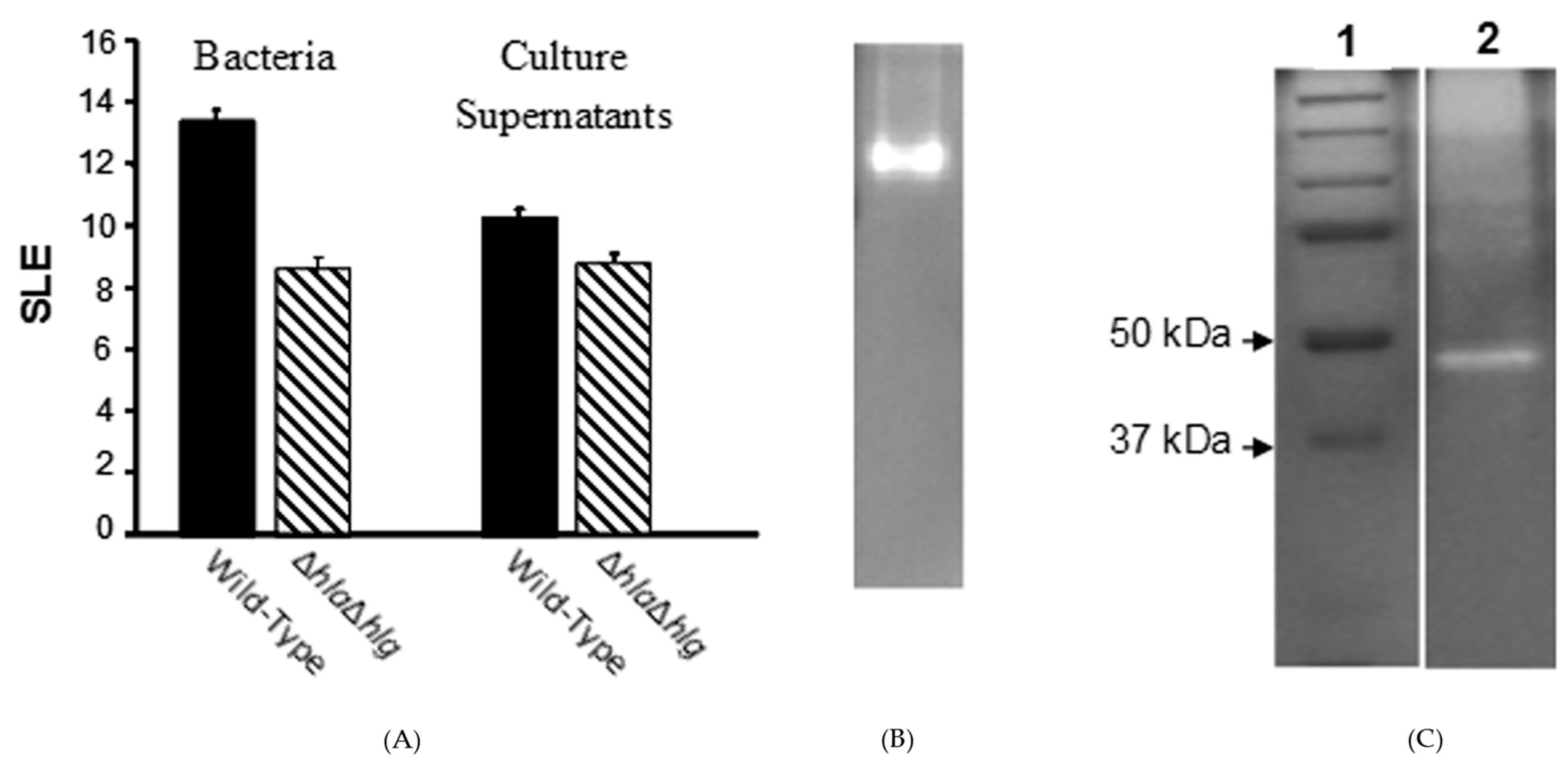 Pathogens 08 00002 g001