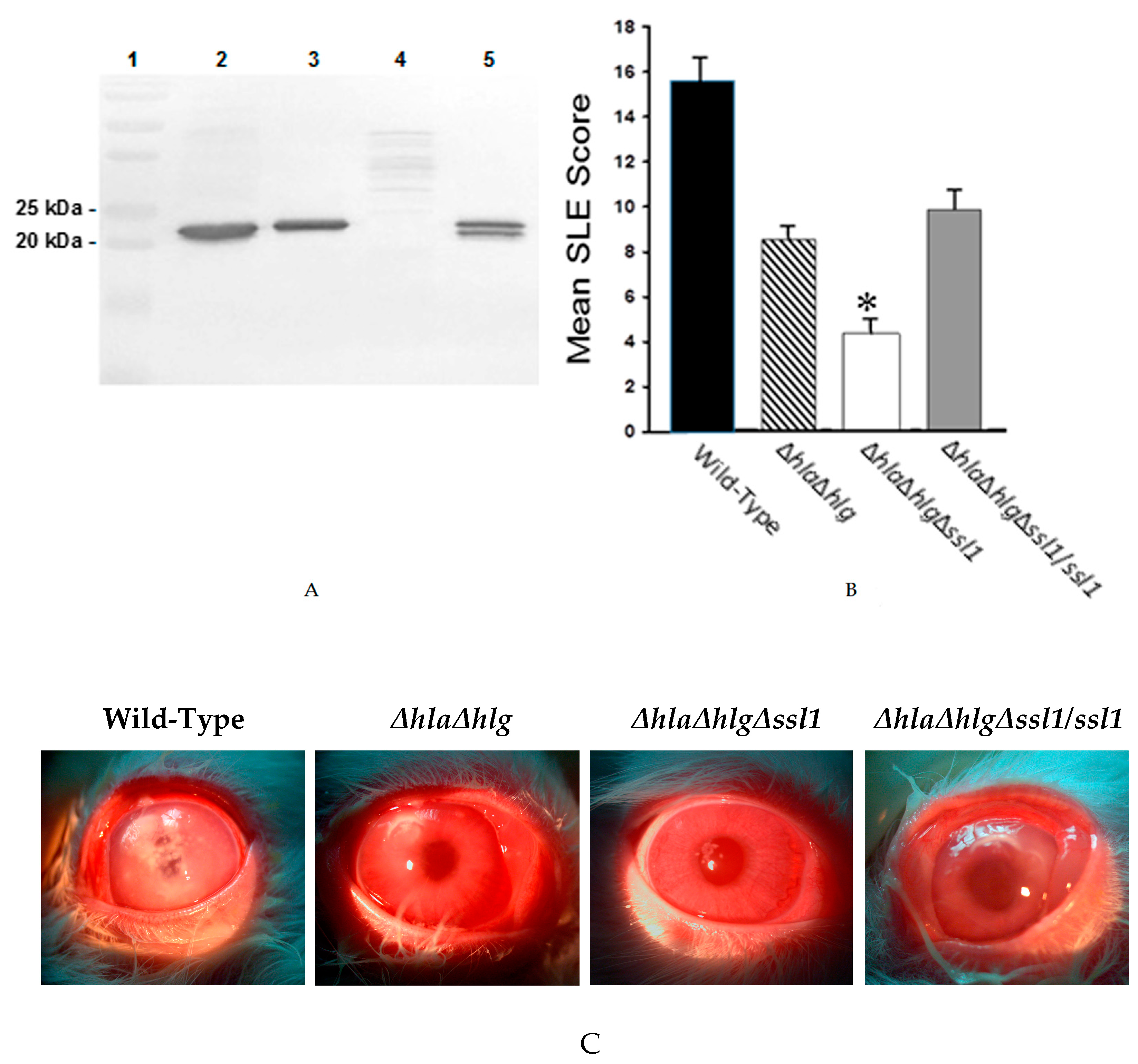 Pathogens 08 00002 g007