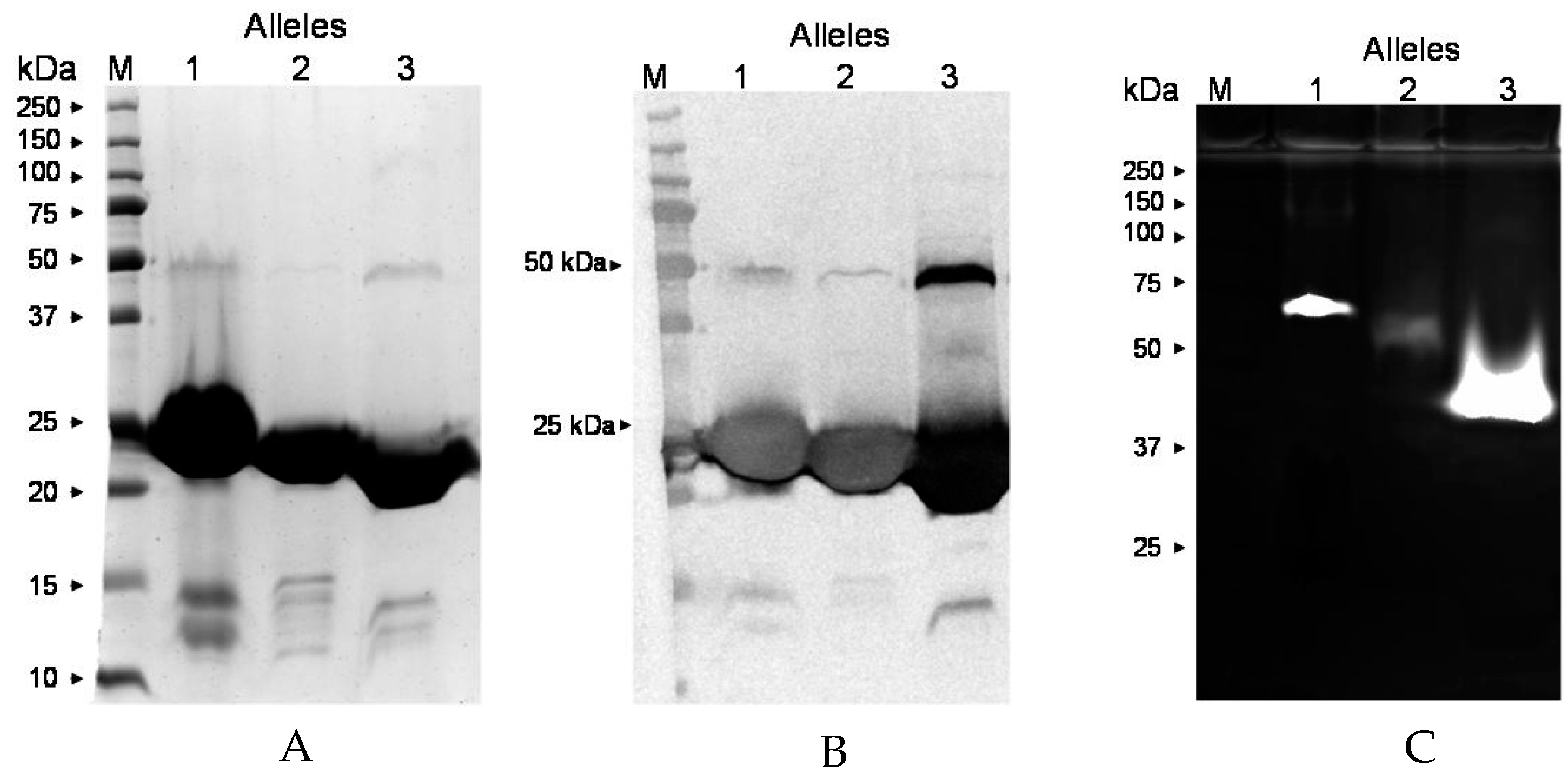 Pathogens 08 00002 g008
