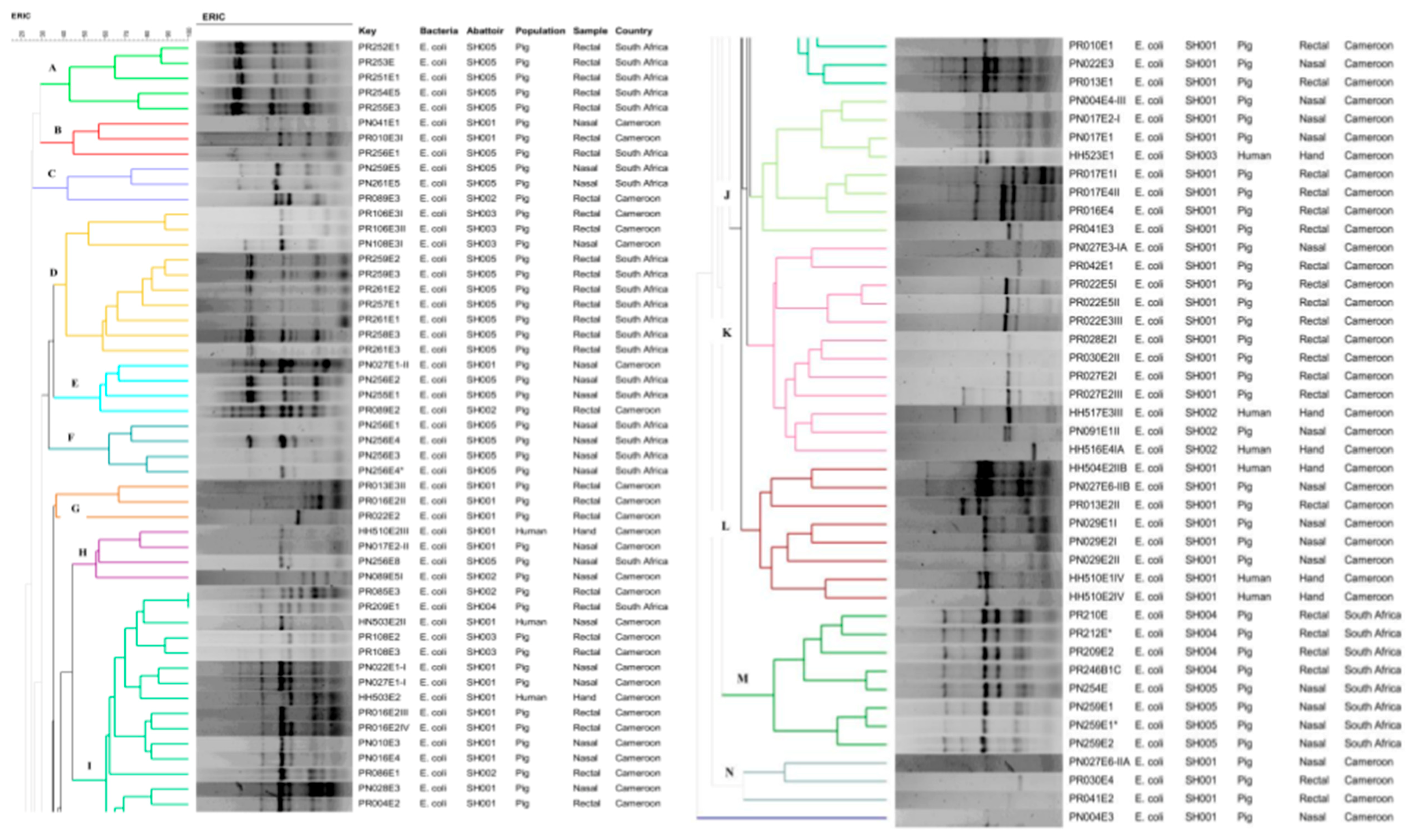 Pathogens 08 00010 g001