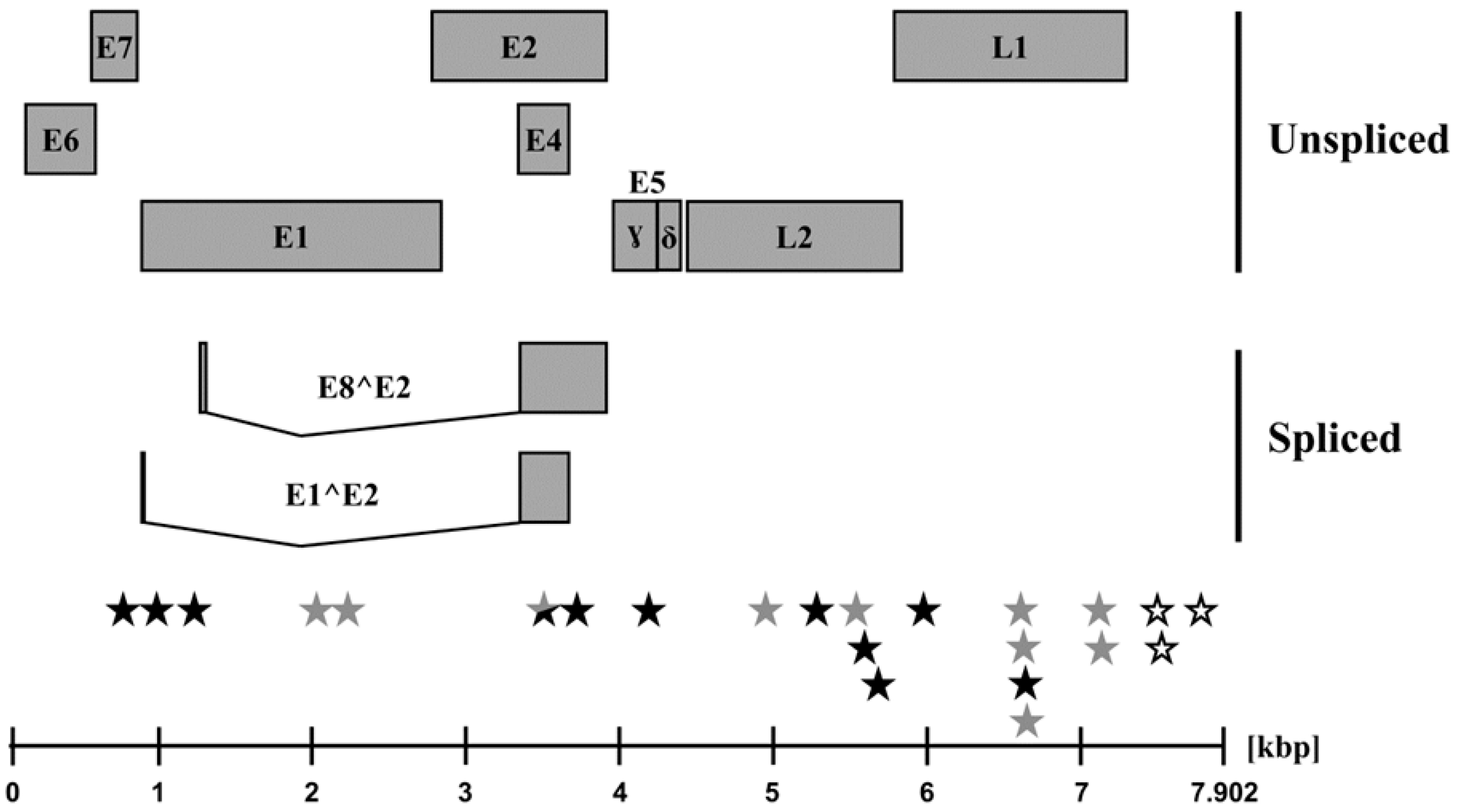 Pathogens 08 00013 g002