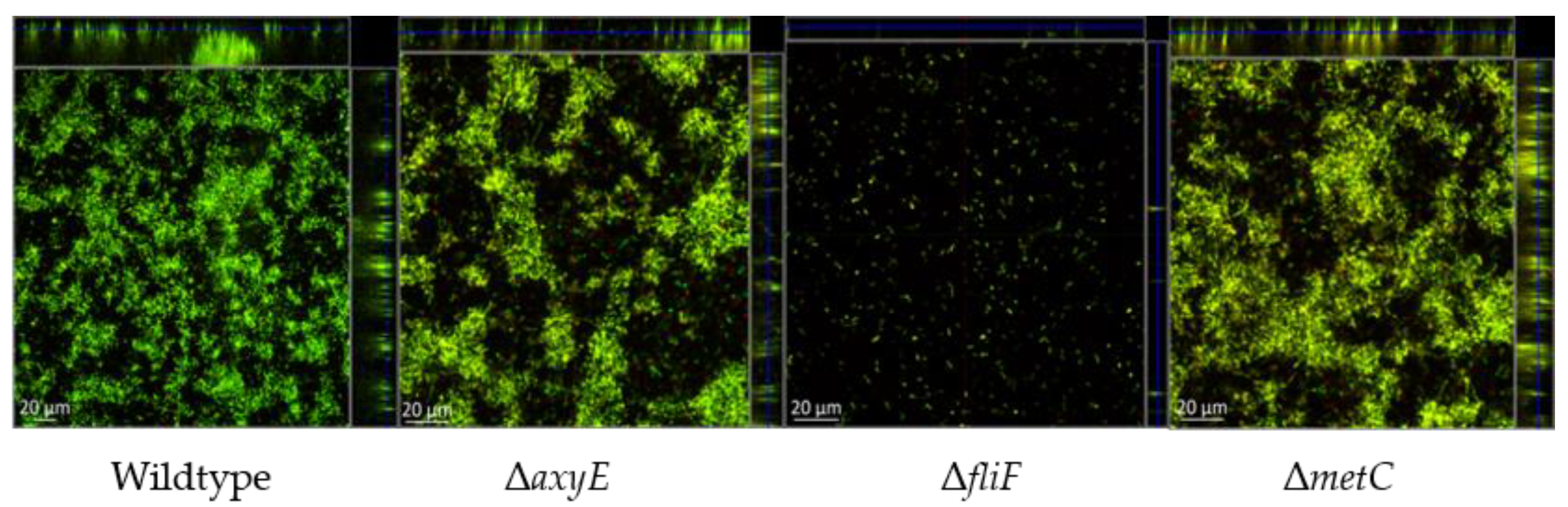 Pathogens 08 00014 g002 Pathogens 08 00014 g002