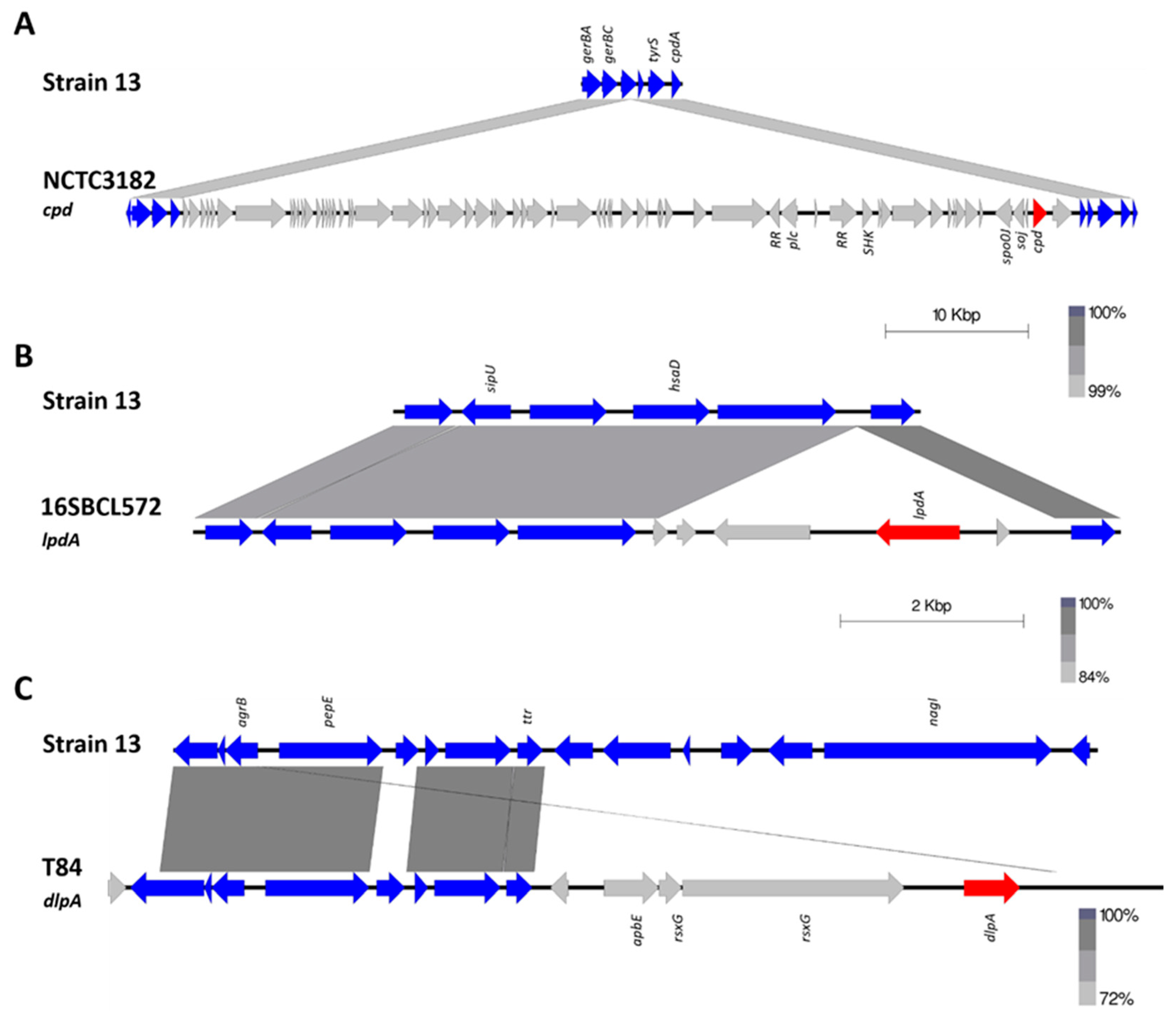 Pathogens 08 00016 g002