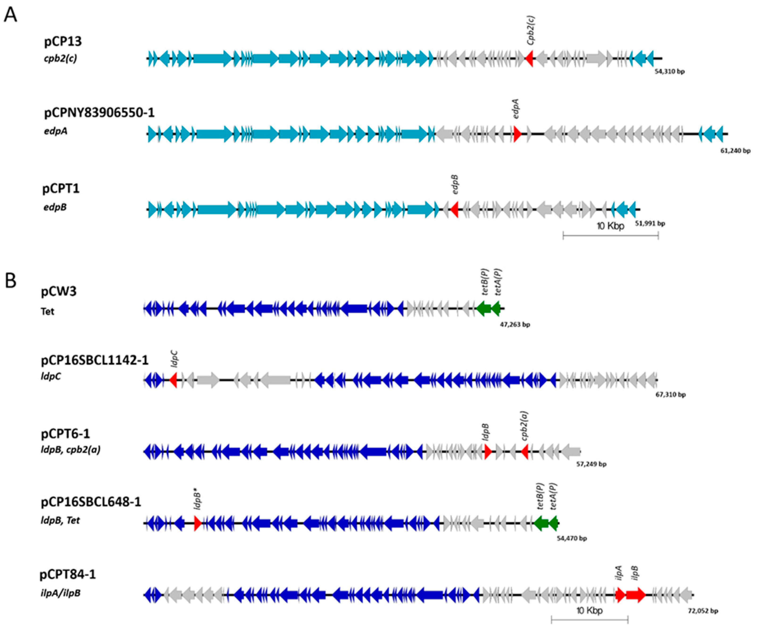 Pathogens 08 00016 g003