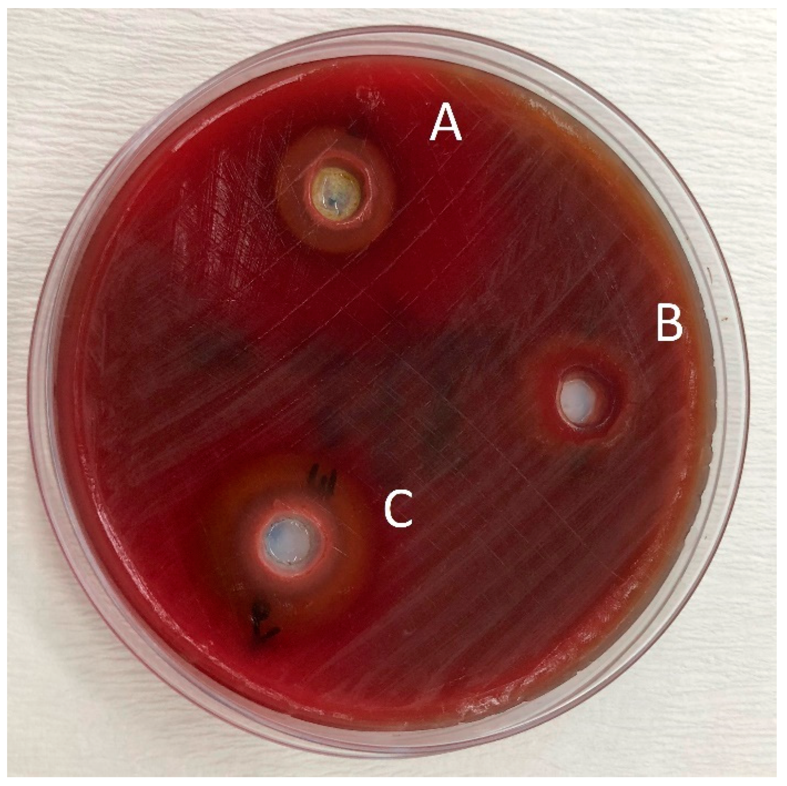 Pathogens 08 00020 g002