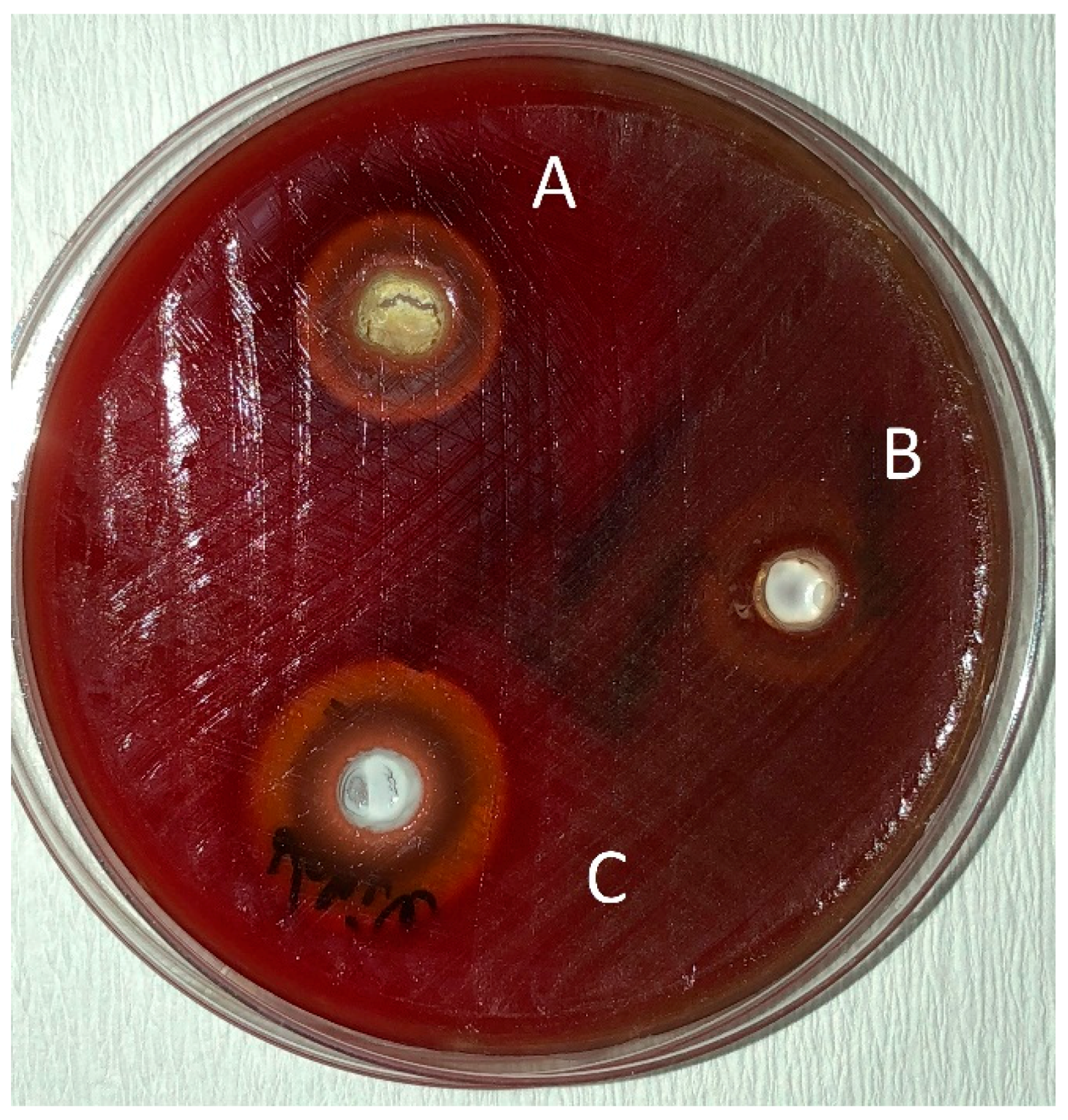 Pathogens 08 00020 g003