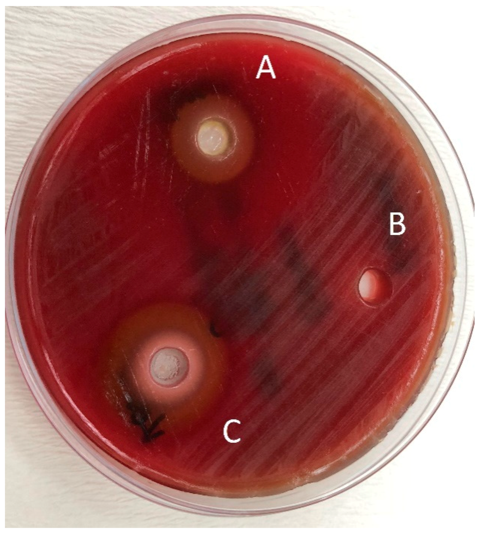 Pathogens 08 00020 g004