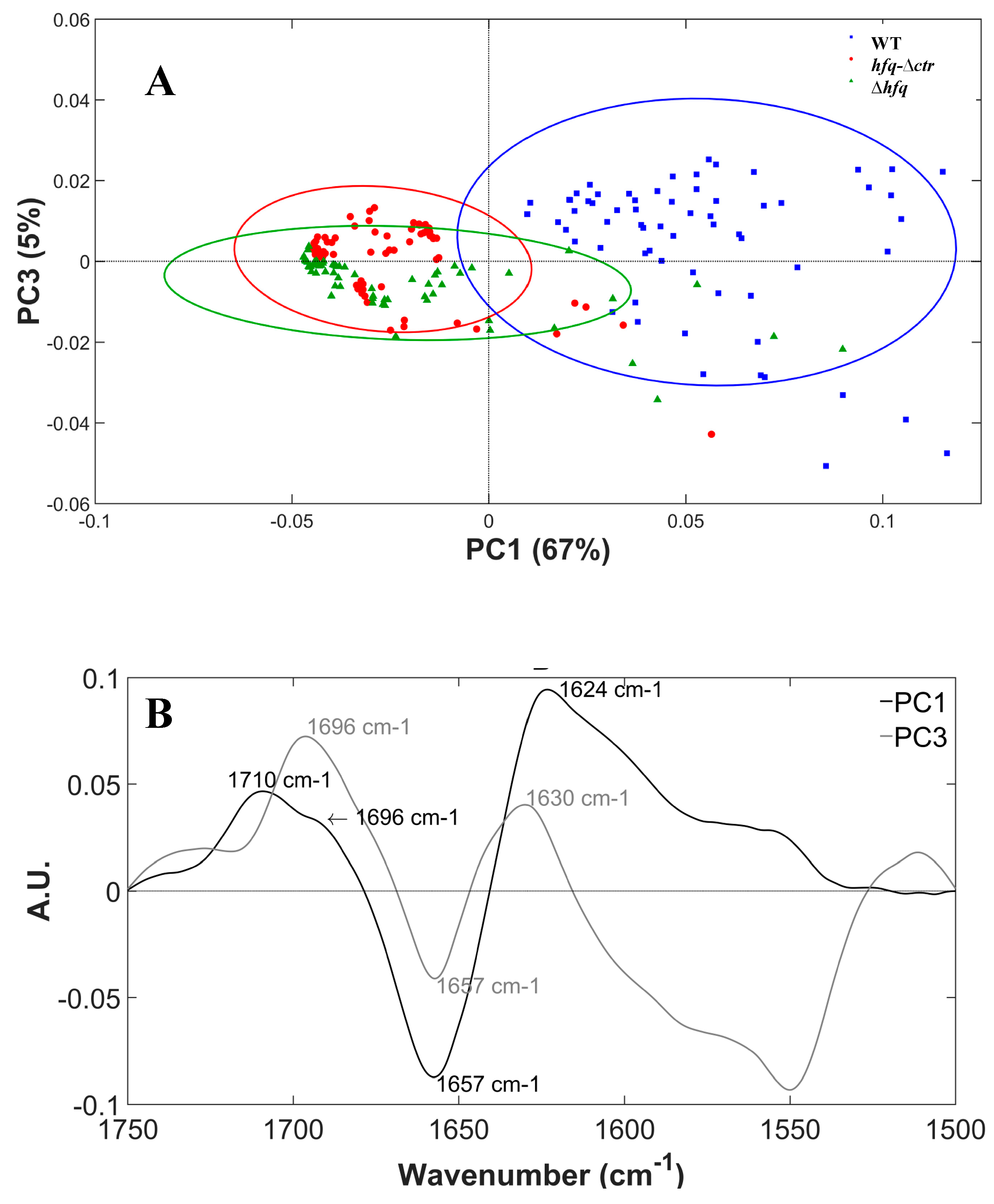Pathogens 08 00036 g004