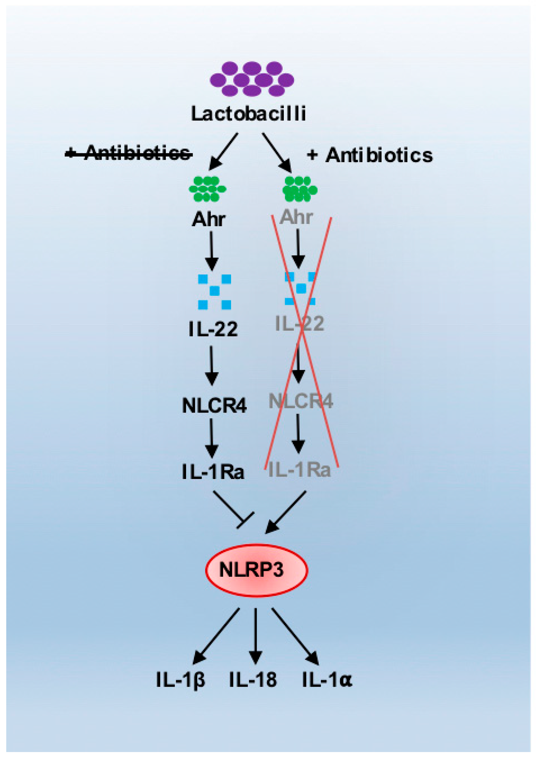 Pathogens 08 00045 g002