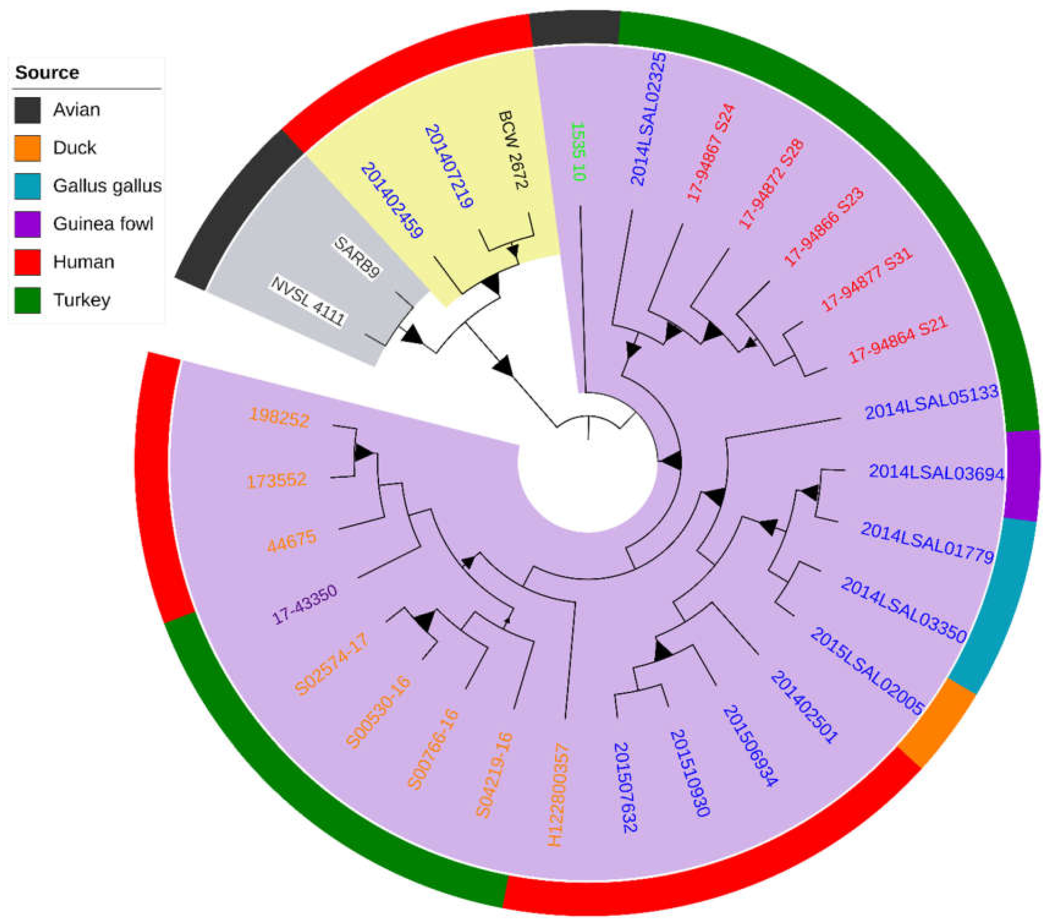 Pathogens 08 00046 g001