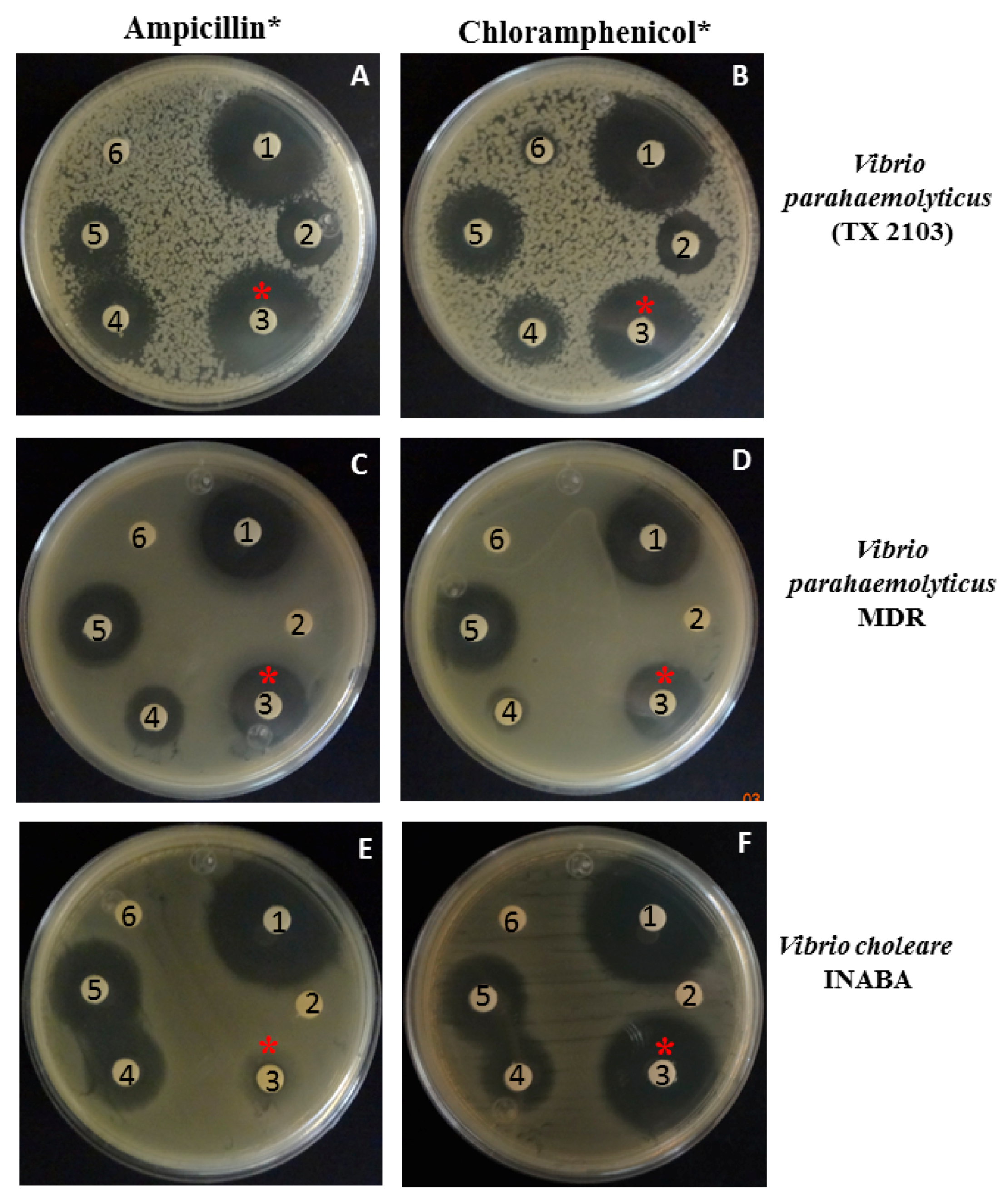 Pathogens 08 00064 g002