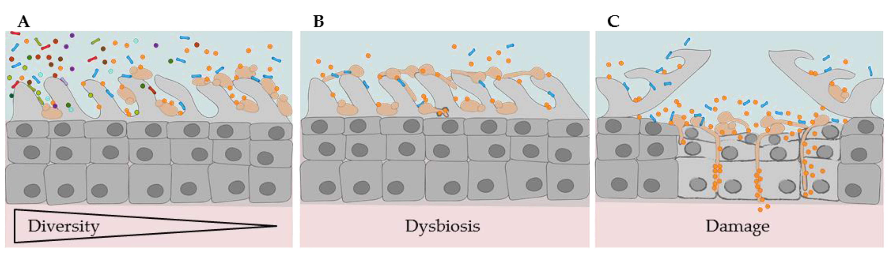 Pathogens 08 00070 g001