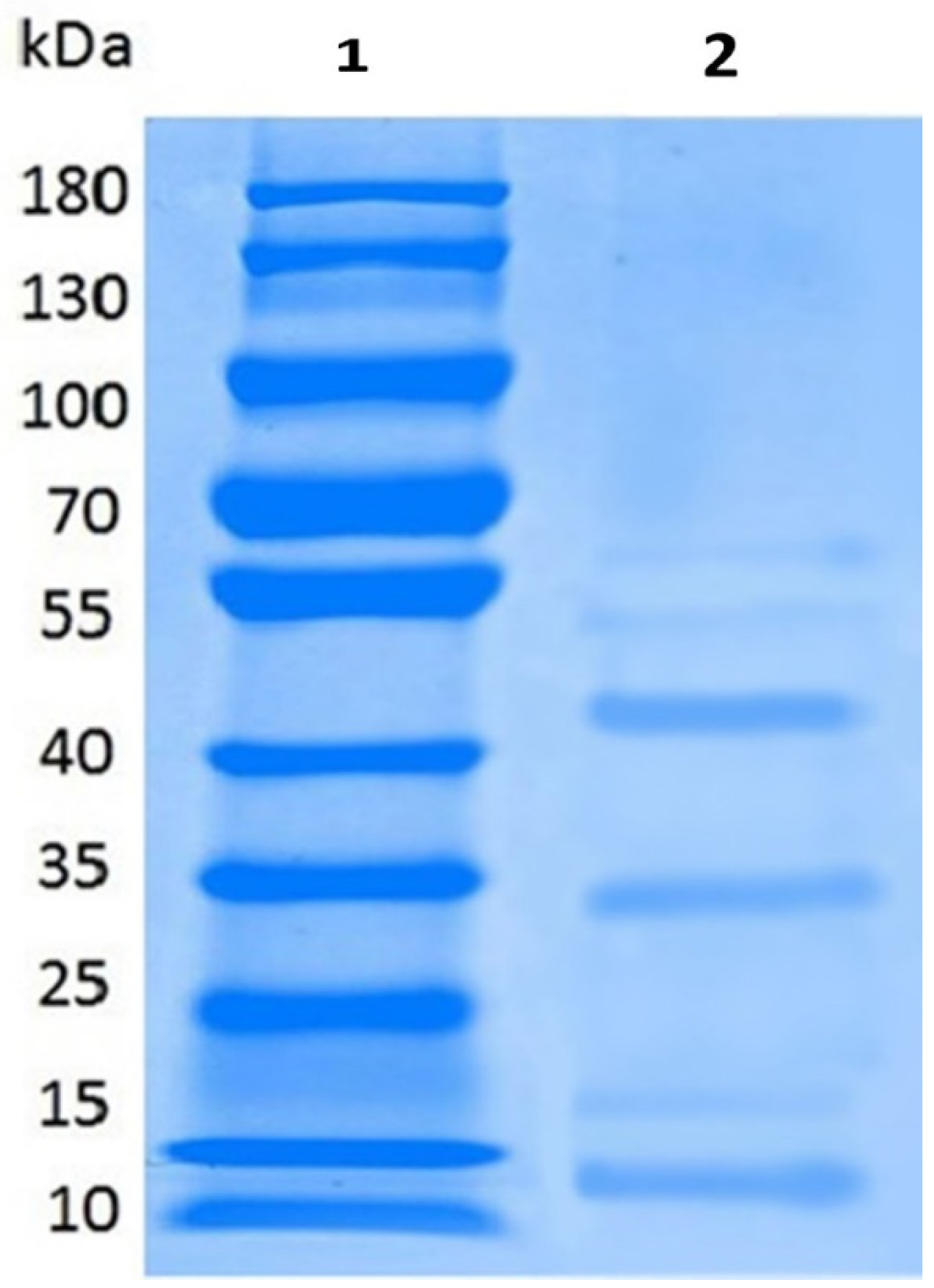 Pathogens 08 00071 g003 Pathogens 08 00071 g003