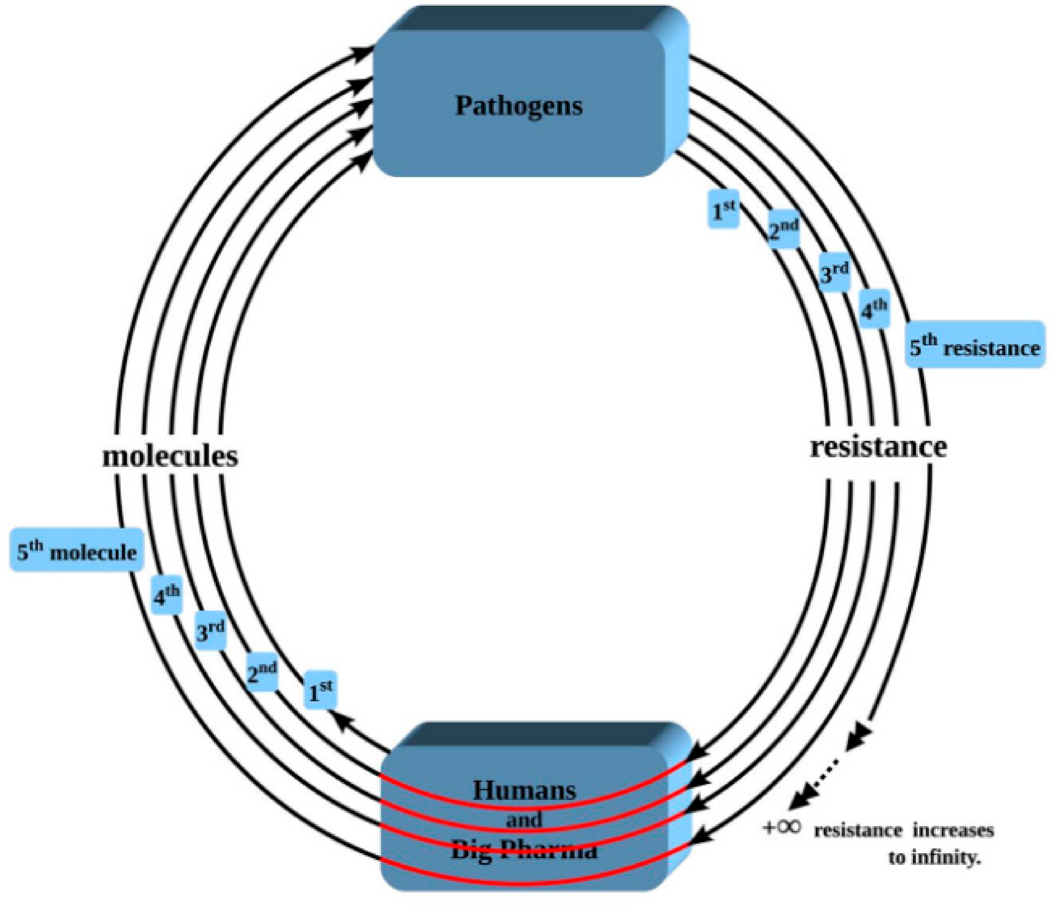 Pathogens 08 00073 g002