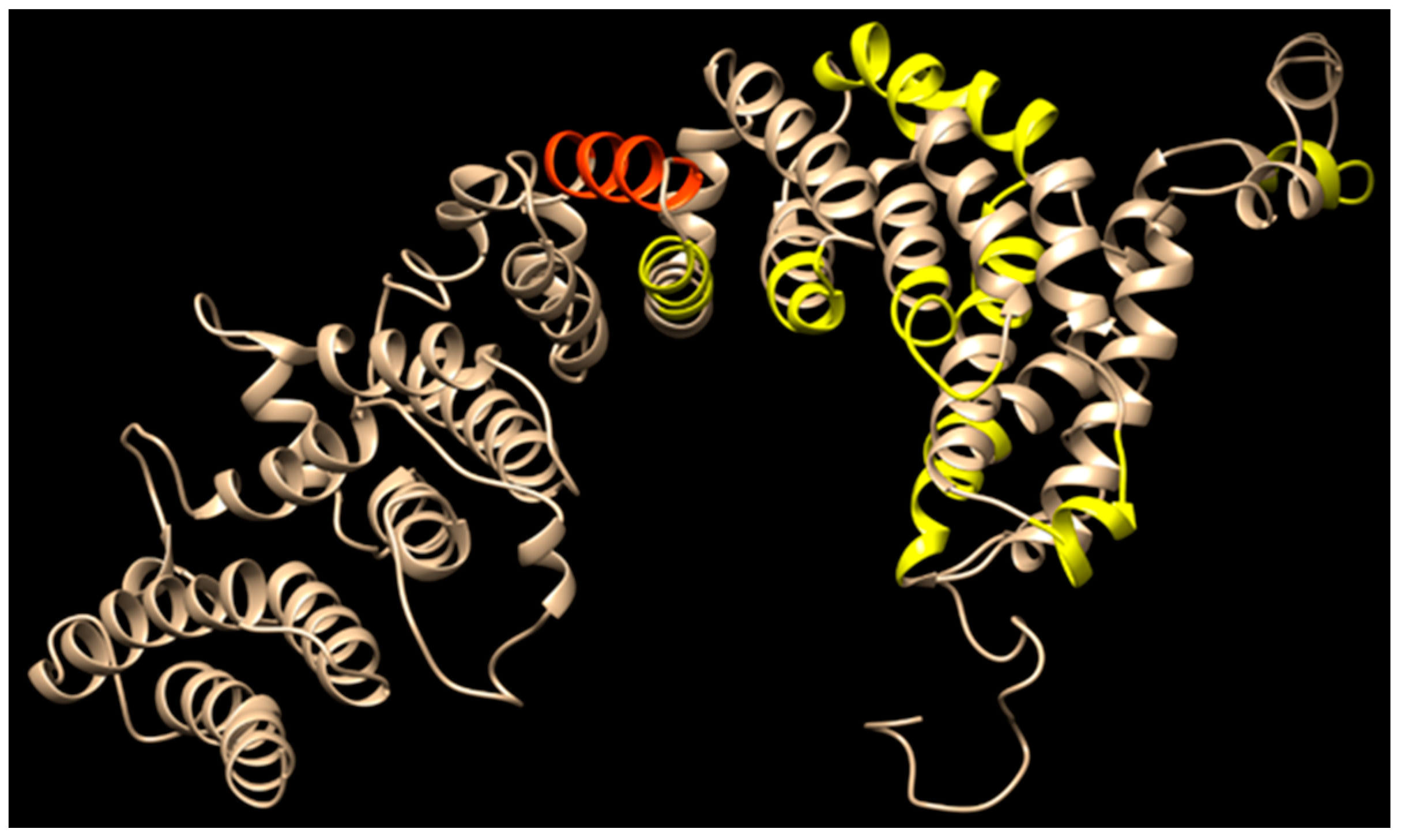 Pathogens 08 00076 g002