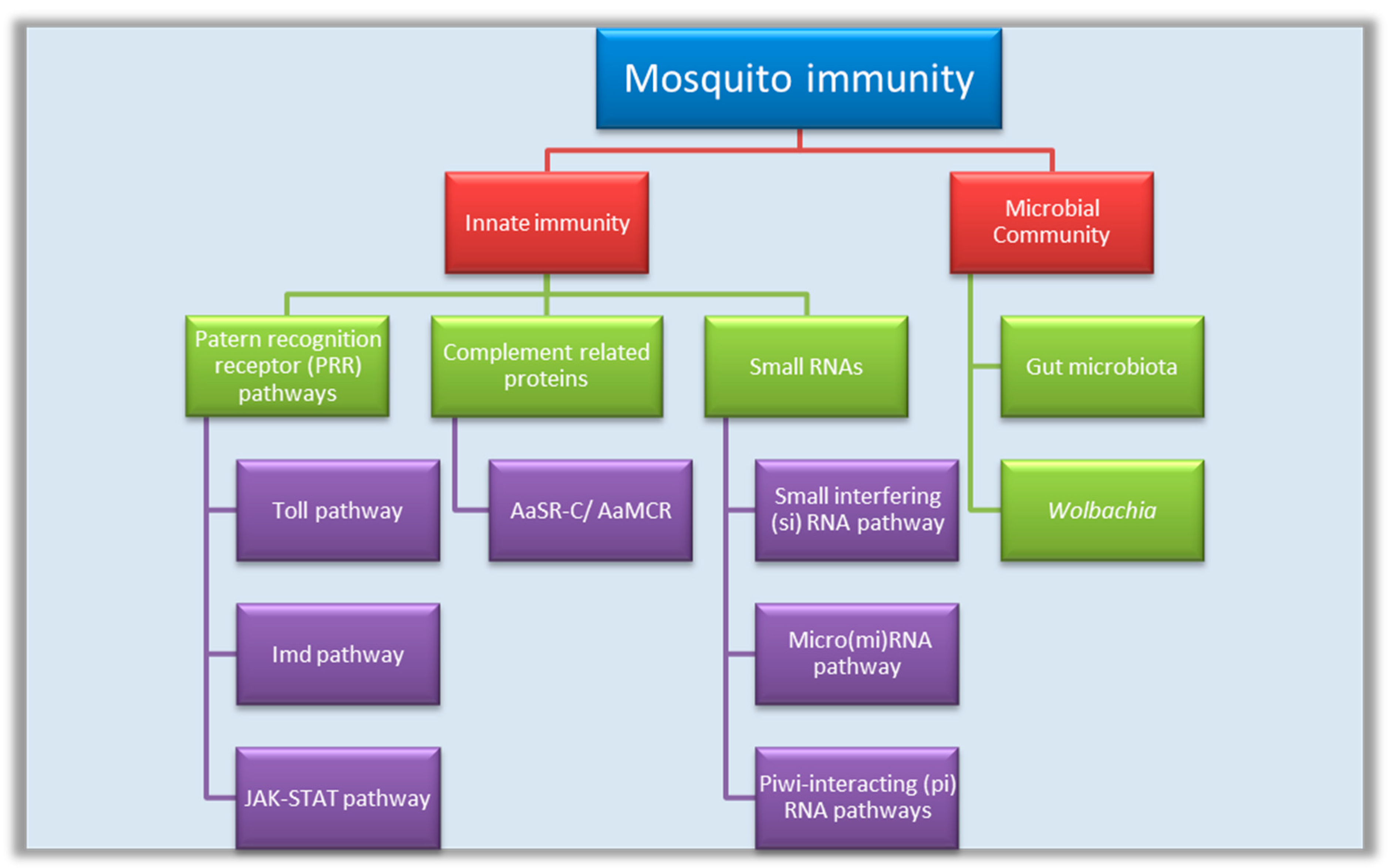 Pathogens 08 00077 g001
