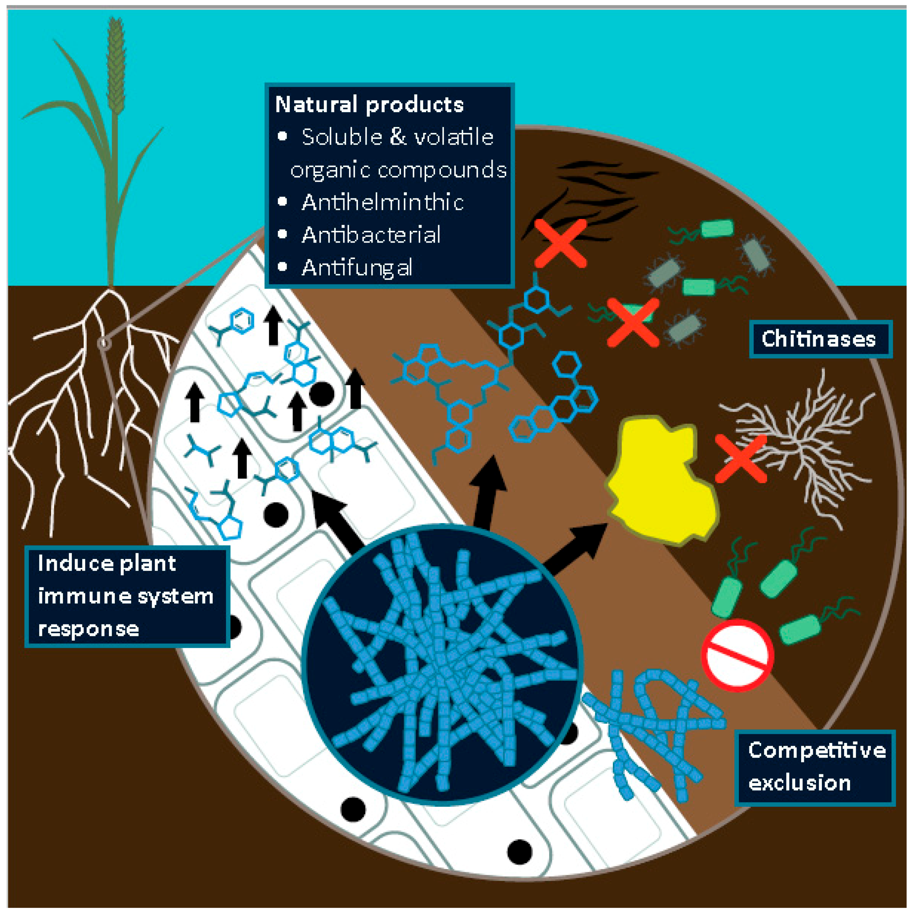 Pathogens 08 00078 g001
