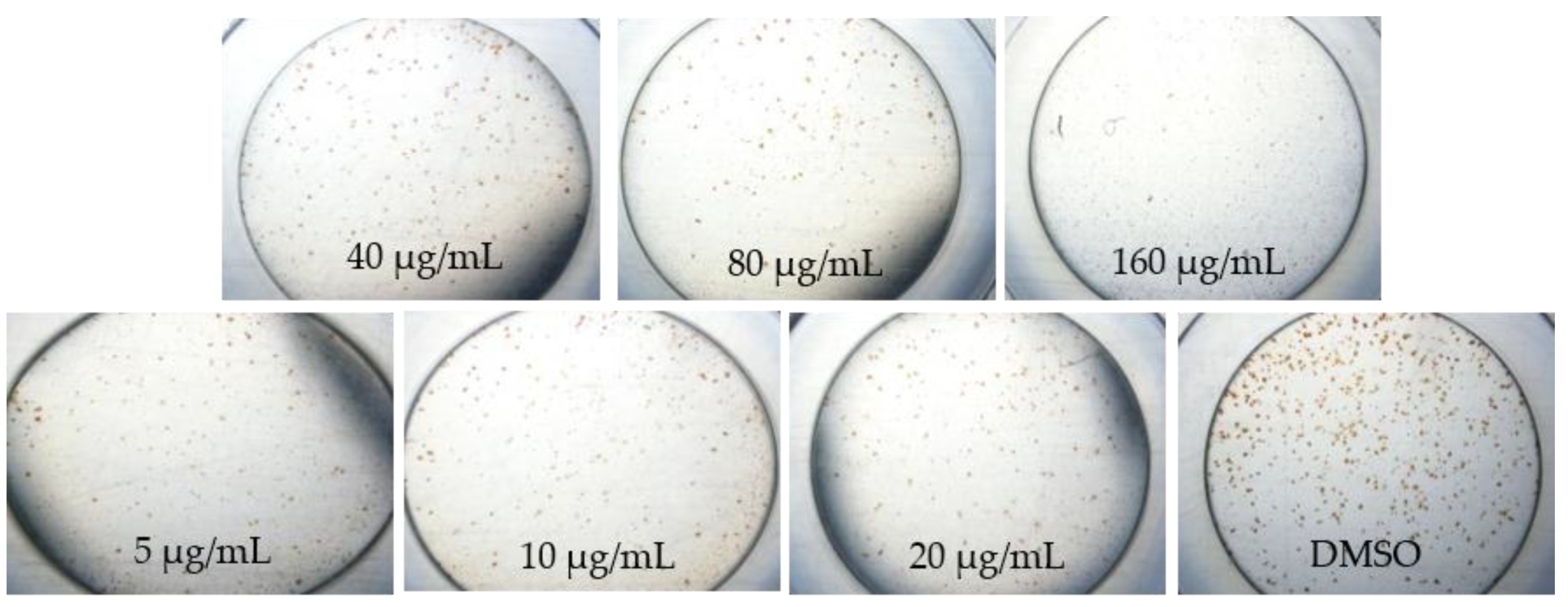 Pathogens 08 00085 g002