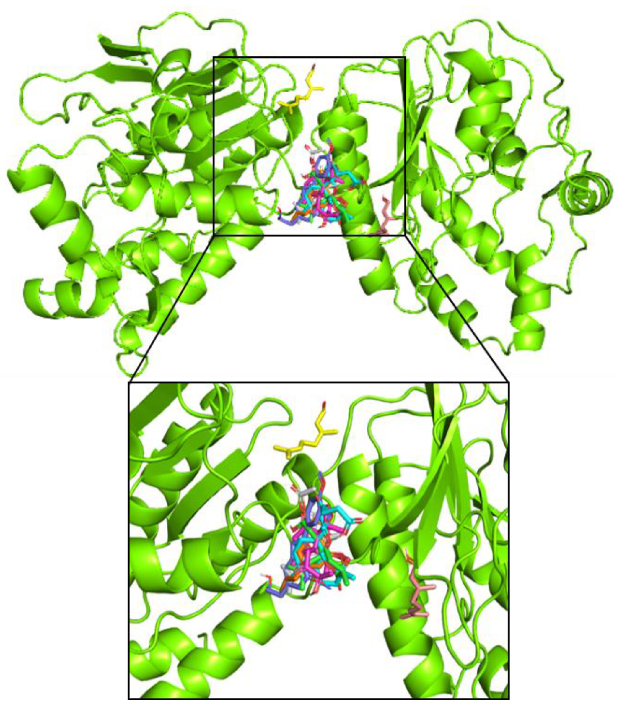 Pathogens 08 00085 g005