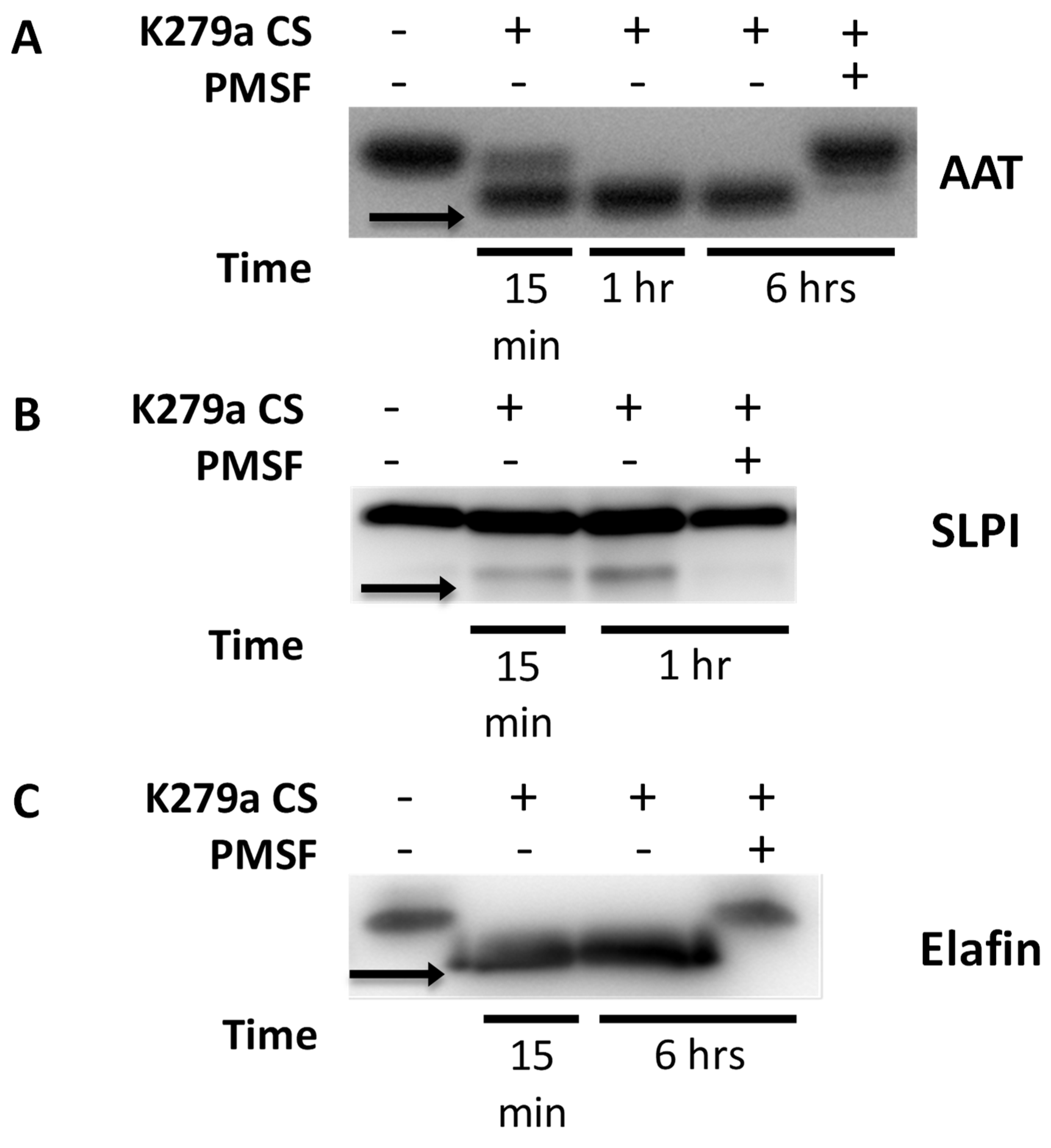 Pathogens 08 00092 g008