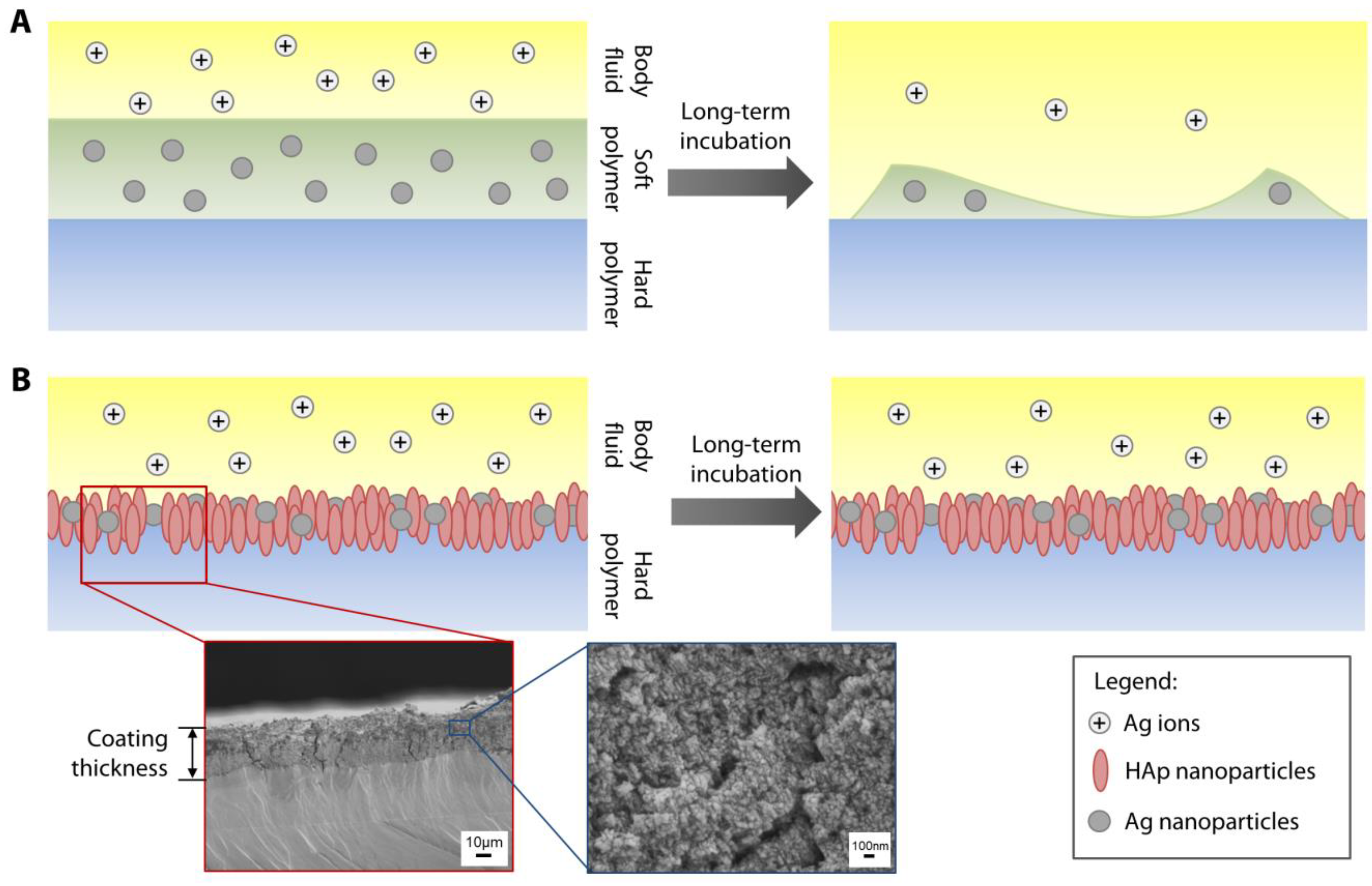 Pathogens 08 00093 g001 Pathogens 08 00093 g001
