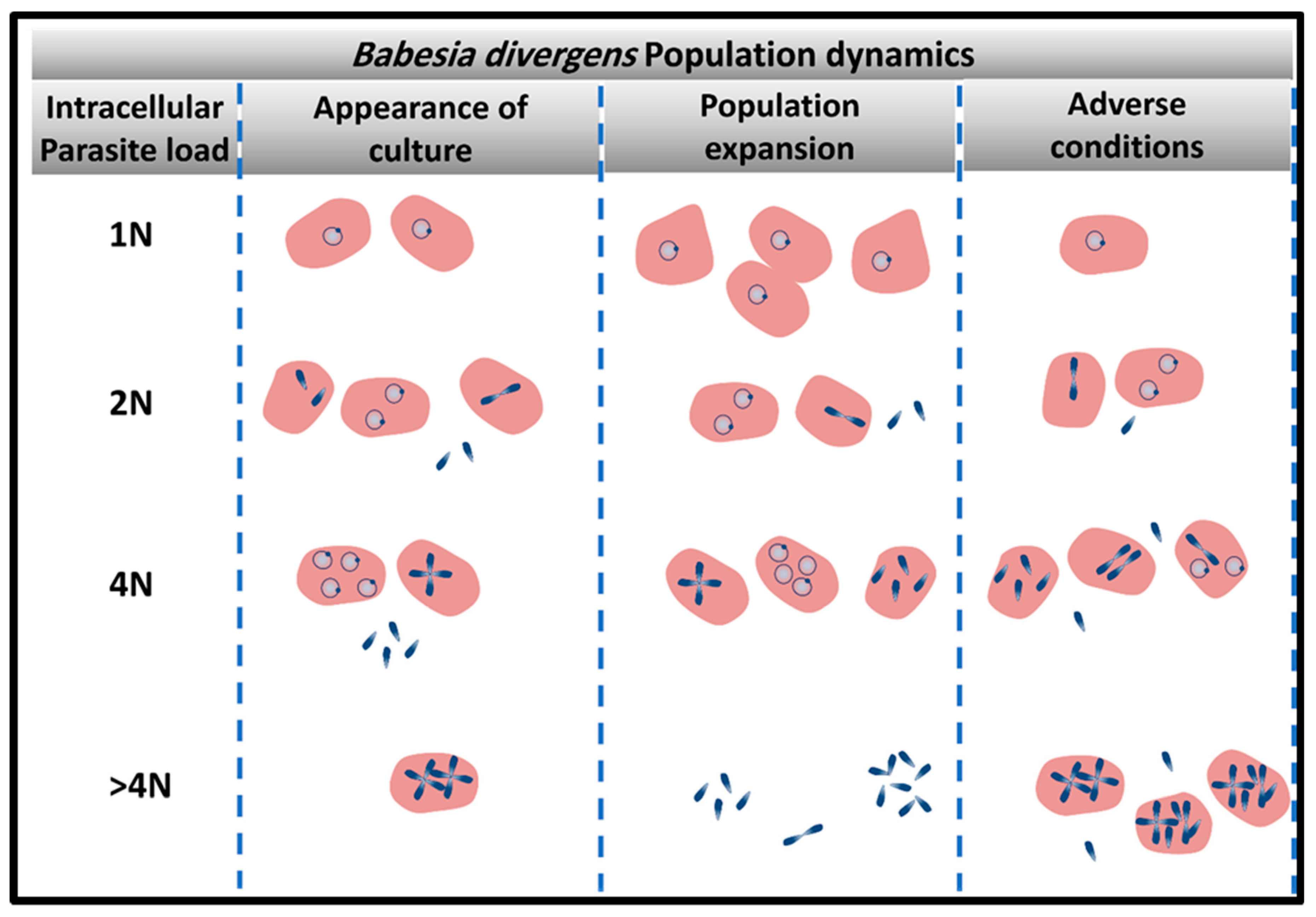 Pathogens 08 00095 g002